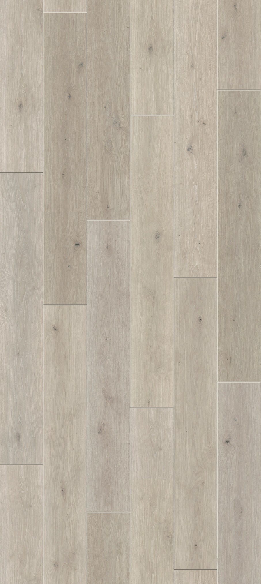 Image of PARADOR Laminat »Classic 1050 - Eiche natural mix grau«, (Packung), spezielle Trägerplatte, 1285 x 194 mm, Stärke: 8 mm bei Ackermann Versand Schweiz