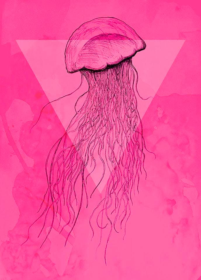 Image of Komar Bild "Jellyfish Pink" Tiere 1 Stk. tlg. Wandbild zur Dekoration - ohne Rahmen