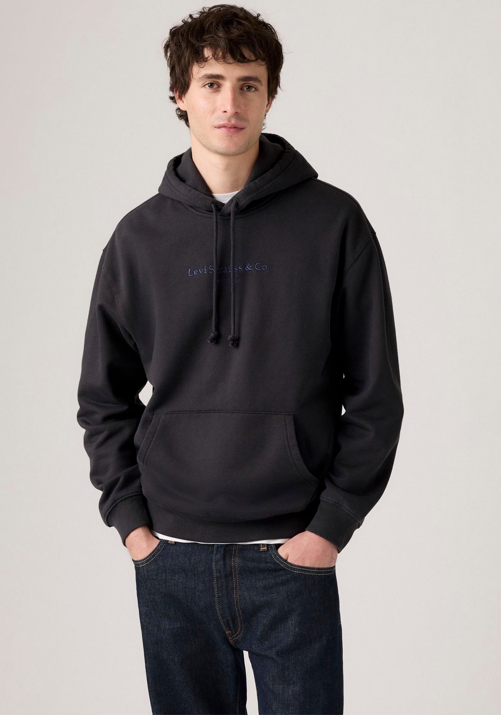 Image of Levis Hoodie, mit Logo Schriftzug
