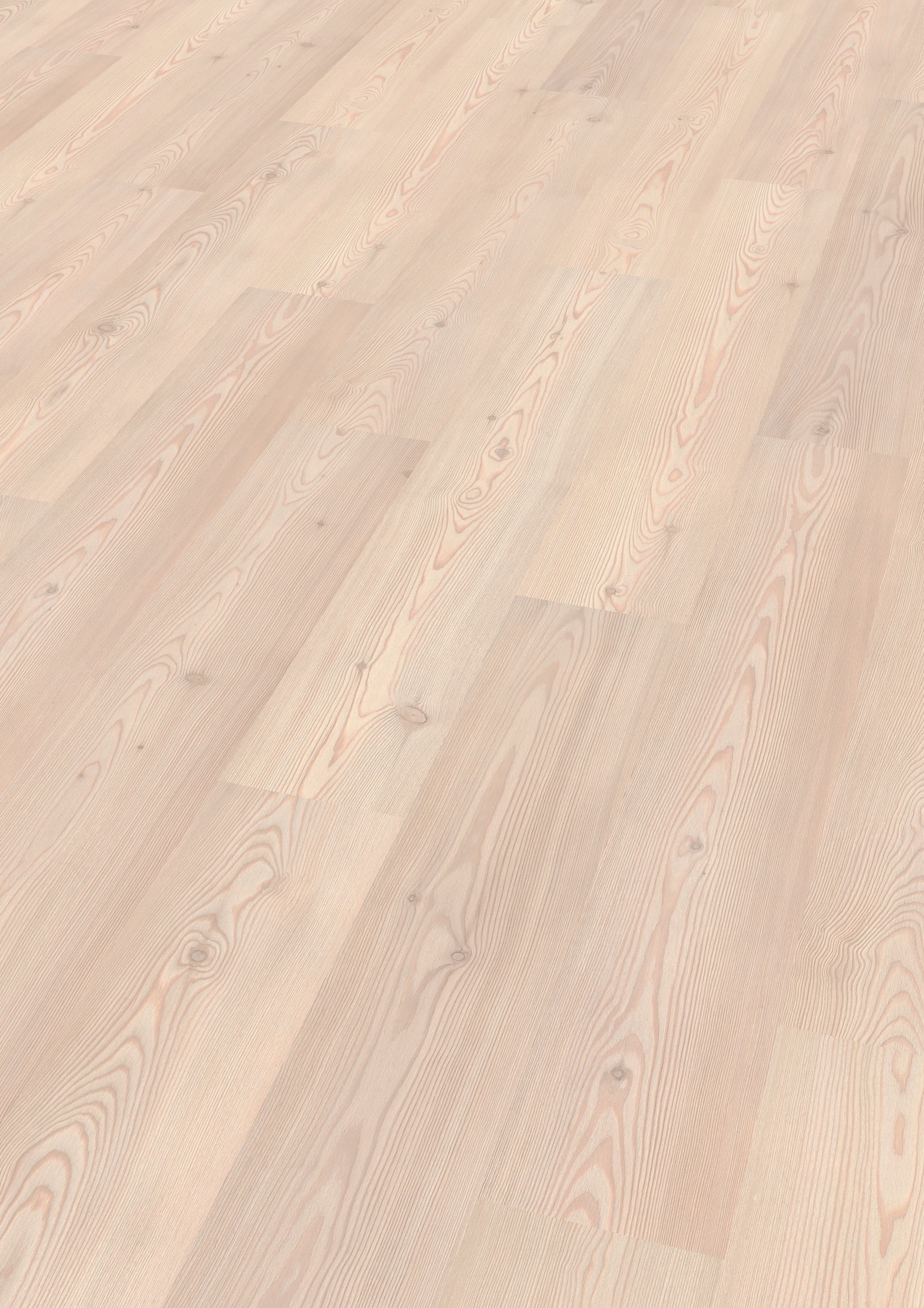 Image of EGGER Laminat »HOME Europäische Lärche«, ohne Fuge, 2,481 m²/Pkt., Stärke: 7 mm bei Ackermann Versand Schweiz