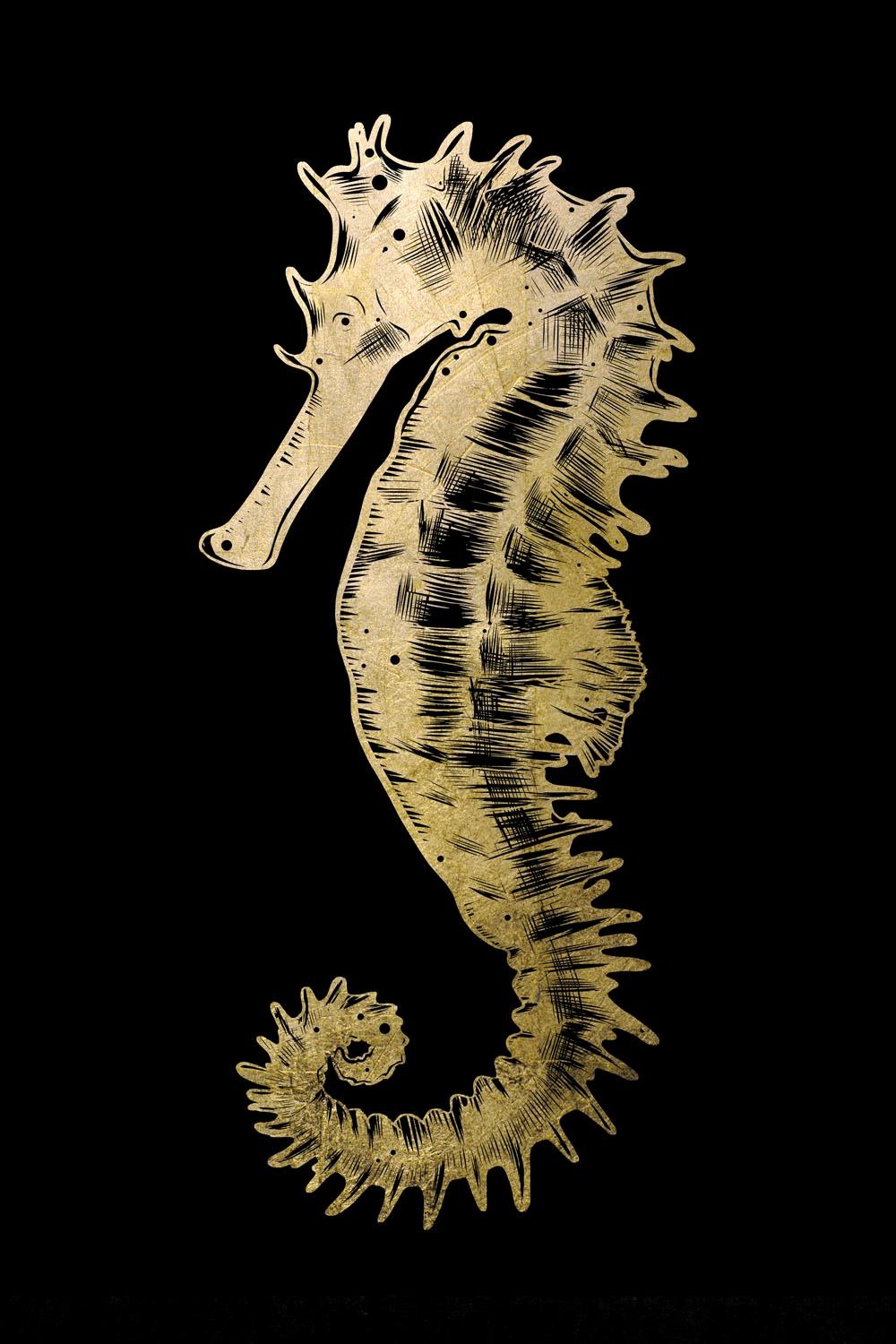 Image of Leonique Acrylglasbild »Seepferd« bei Ackermann Versand Schweiz