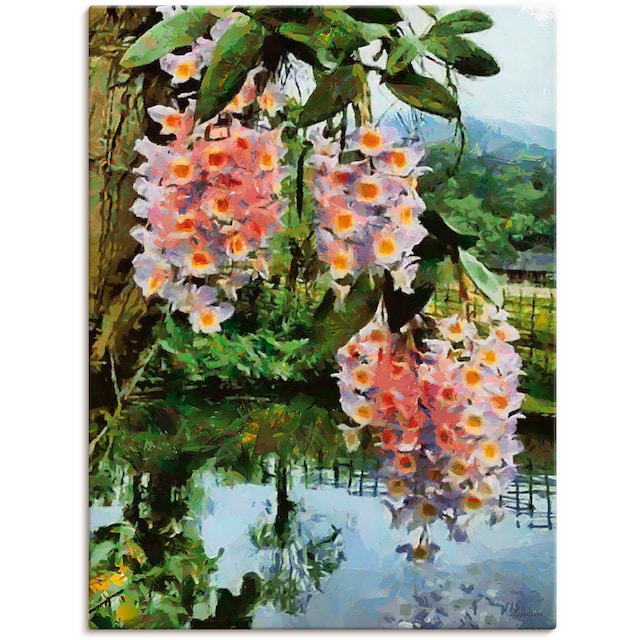 versch. Baumbilder, II«, oder Artland Poster als St.), (1 »Blühender tropischer Wandbild Baum in Leinwandbild, kaufen Wandaufkleber Alubild, Grössen
