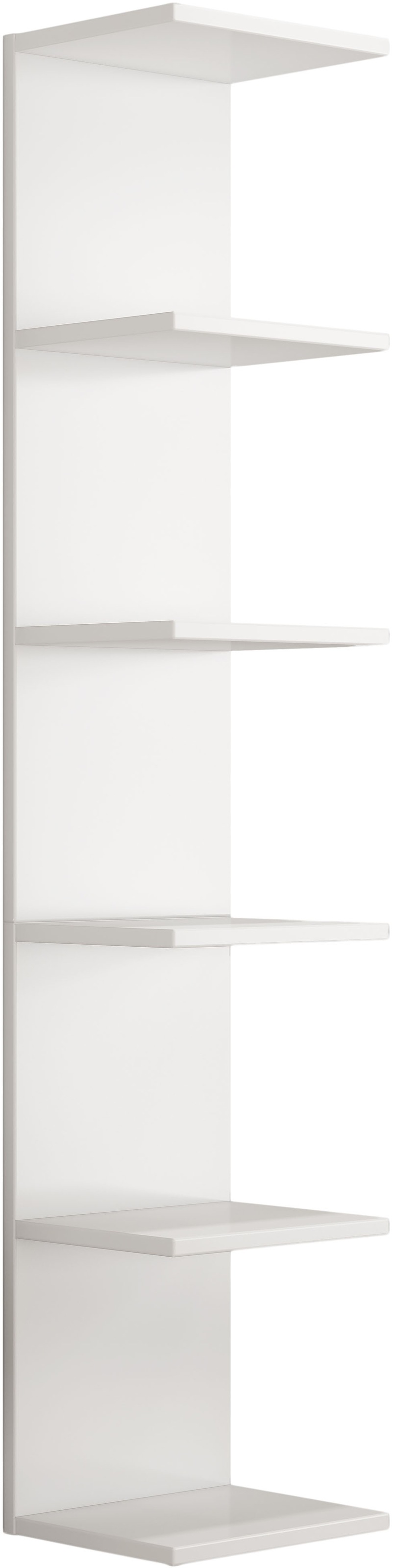 Image of GOODproduct Wandregal "Moid" dekorativer Stauraum, Wandmontage