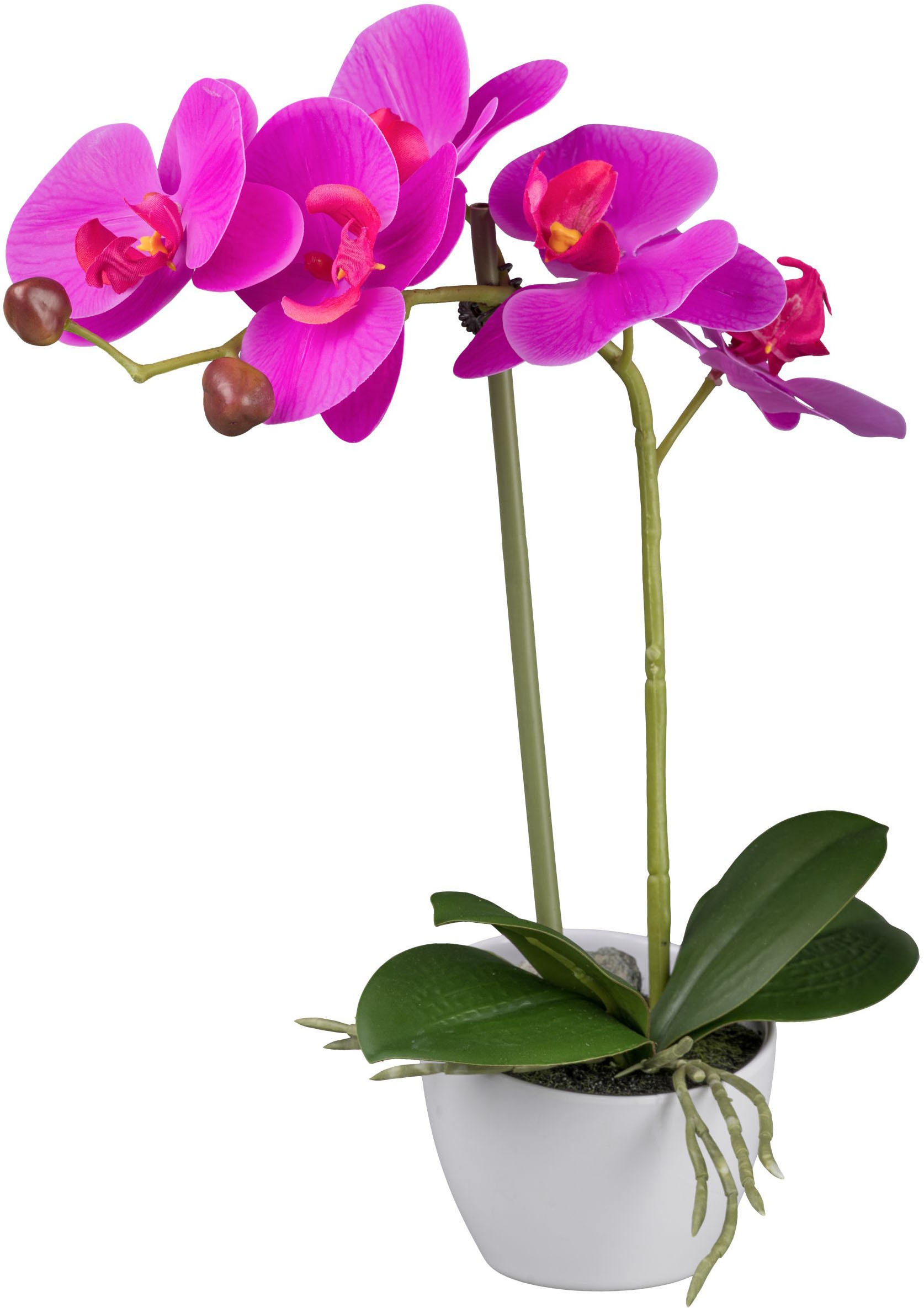 Creativ green Kunstorchidee »Orchidee Phalaenopsis«, im Design-Topf