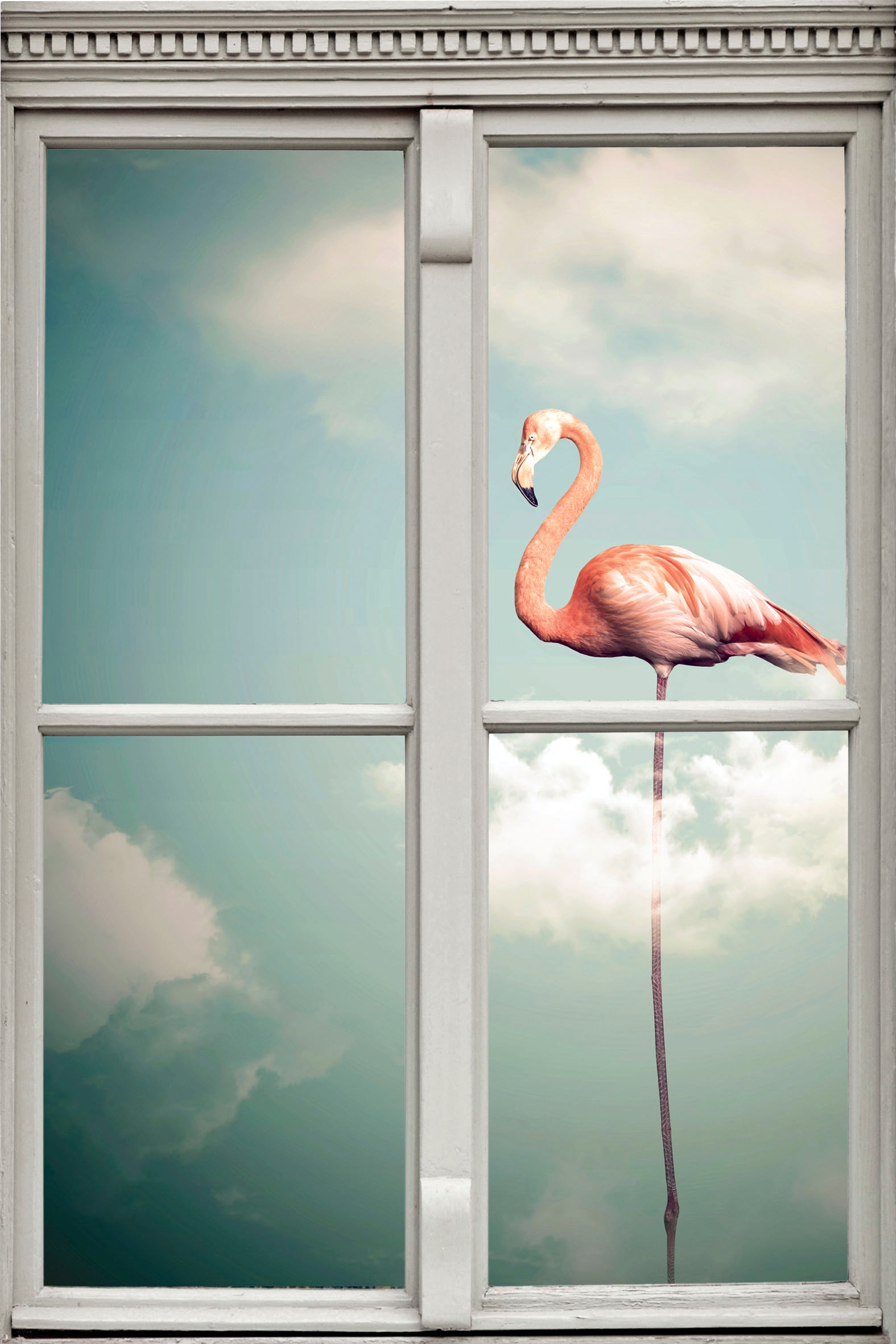 Image of queence Wandsticker »Flamingo« bei Ackermann Versand Schweiz