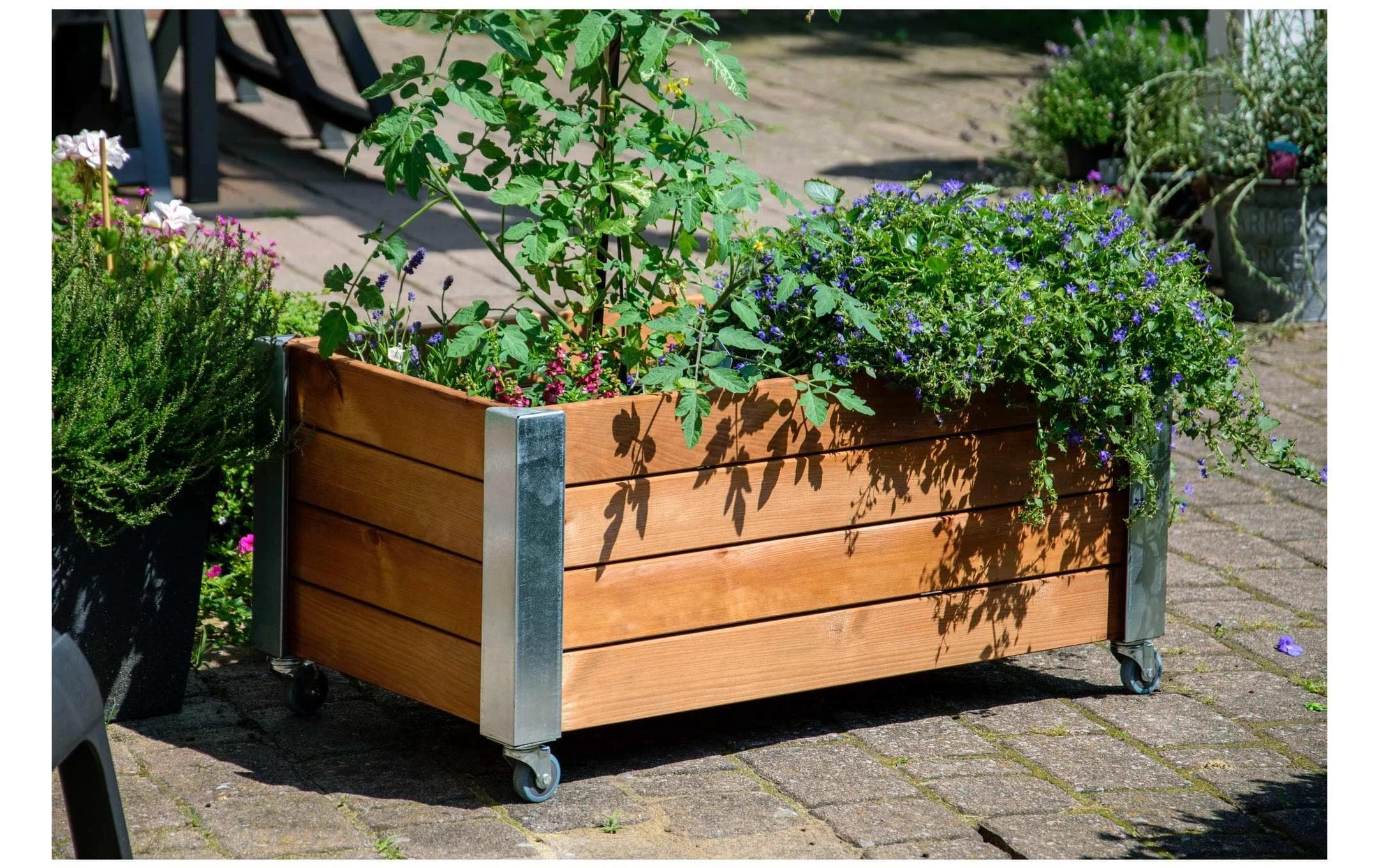 dobar Hochbeet »«Rollfi» aus Holz mit Rollen«