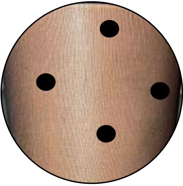 Camano Strumpfhose »fine fashion« 40 superbequem, gepunktet