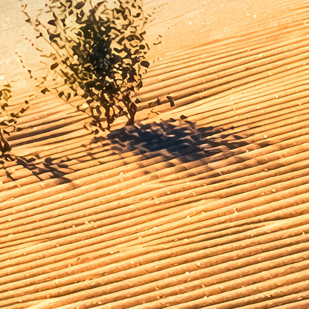 Komar Fototapete »Digitaldruck Vlies -  Body Lines - Grösse 500 x 250 cm« bedruckt glatt Wohnzimmer, Schlafzimmer