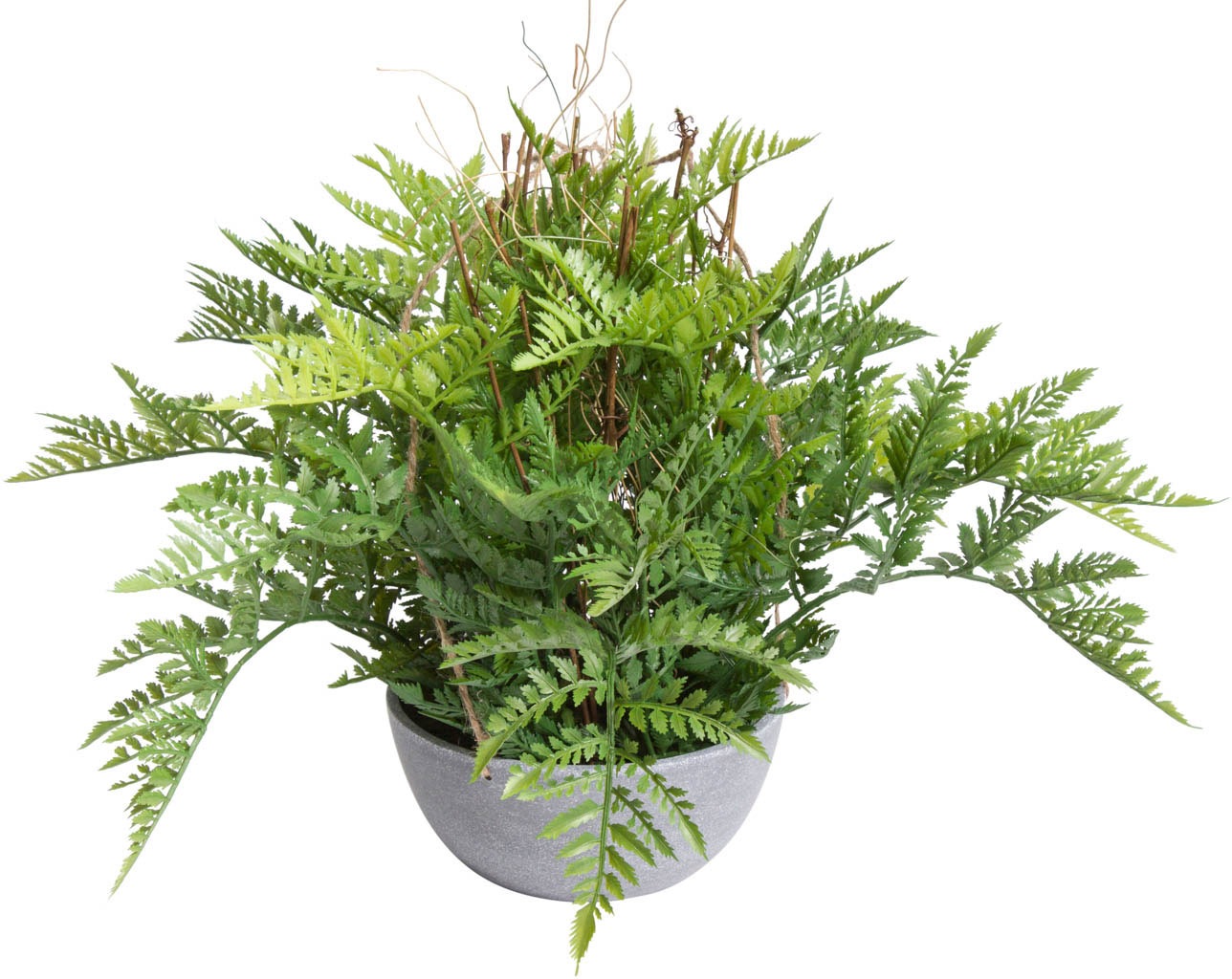 Image of Botanic-Haus Künstliche Zimmerpflanze »Farn Hängeampel«, (1 St.) bei Ackermann Versand Schweiz