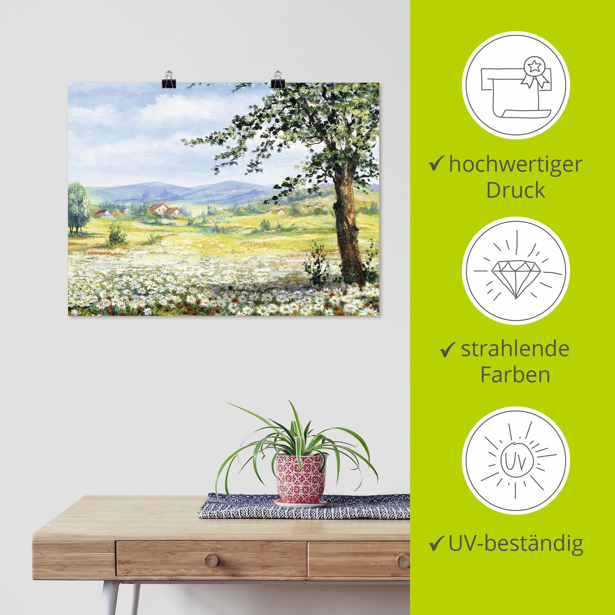 Artland Wandbild »Margeritenfeld«, Wiesen & Bäume, (1 St.), als Poster, Wandaufkleber in verschied. Grössen