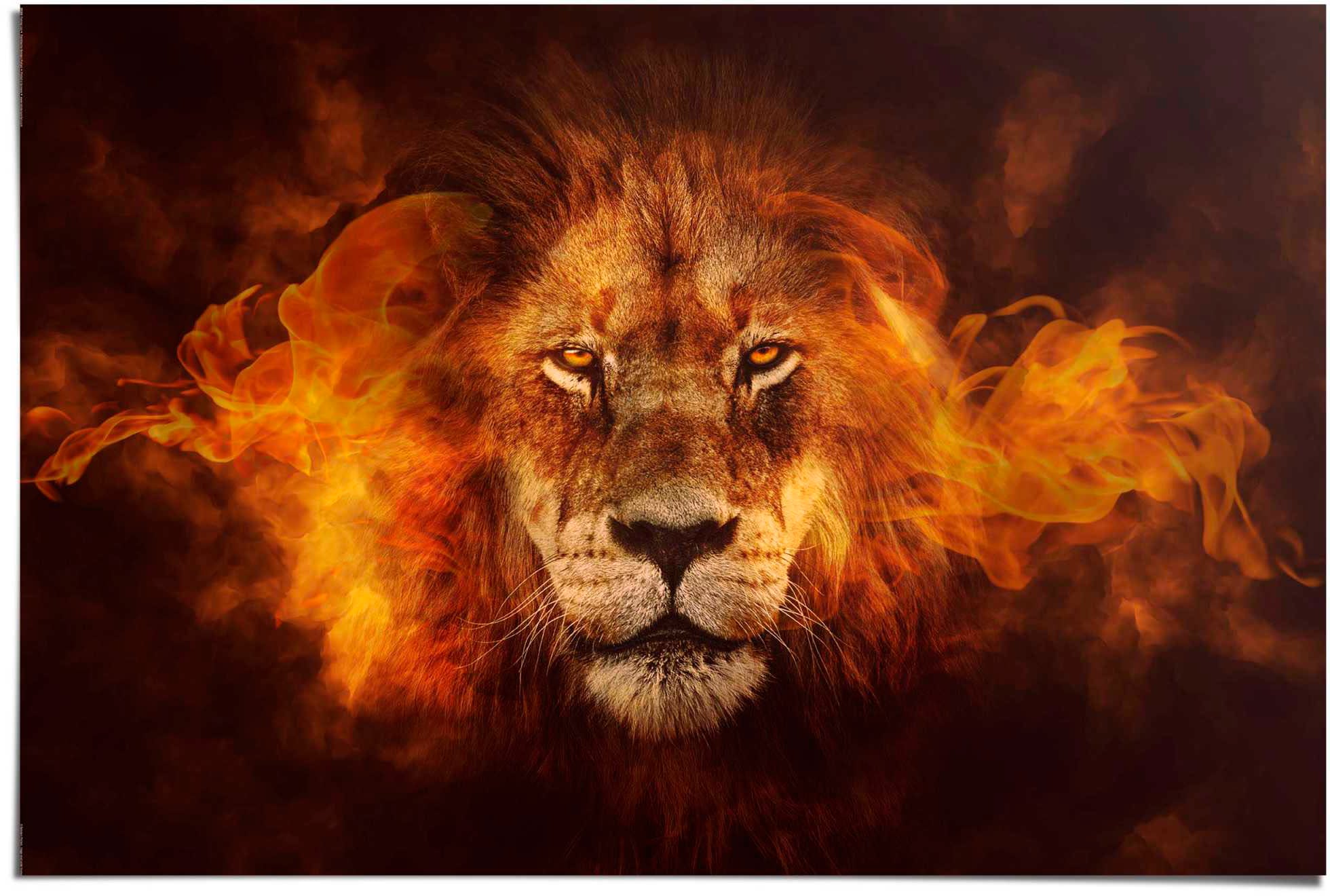 Image of Reinders Poster "Löwe in Flammen"