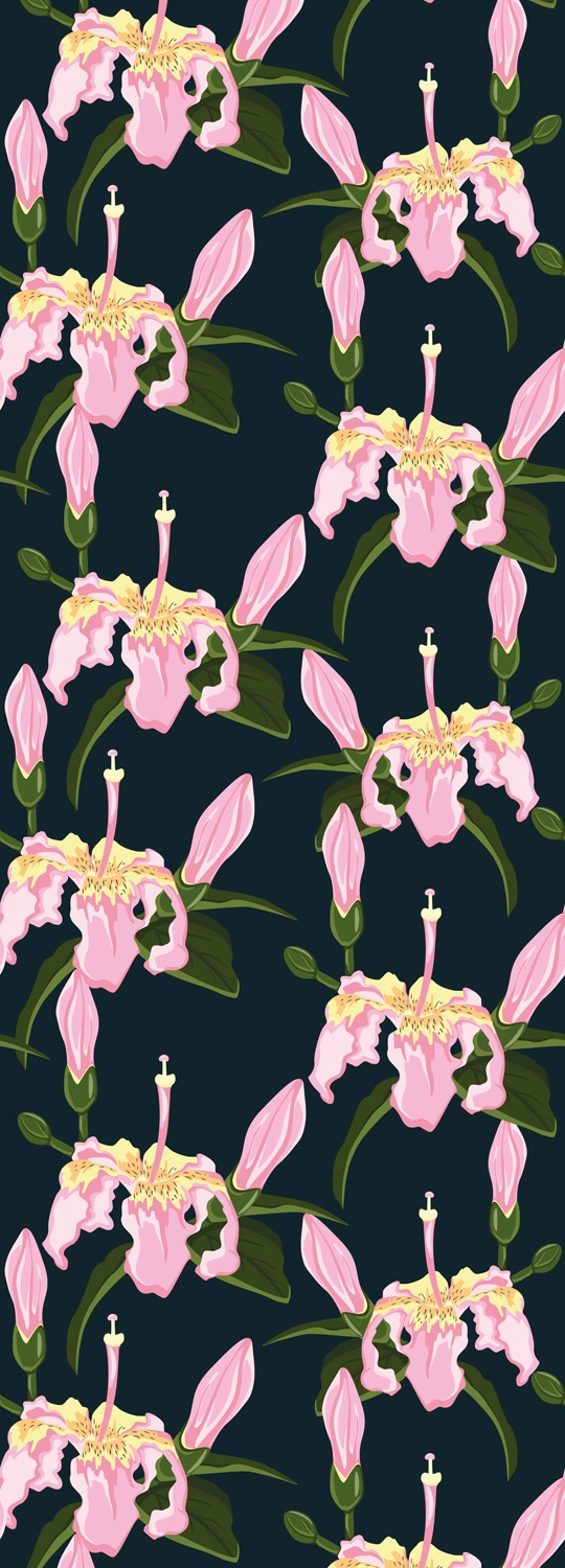 Image of queence Vinyltapete "Hermine" Motiv bedruckt botanisch floral gemustert natürlich glatt 90x250cm, selbstklebend, kinderleichte Anbringung, Sticker