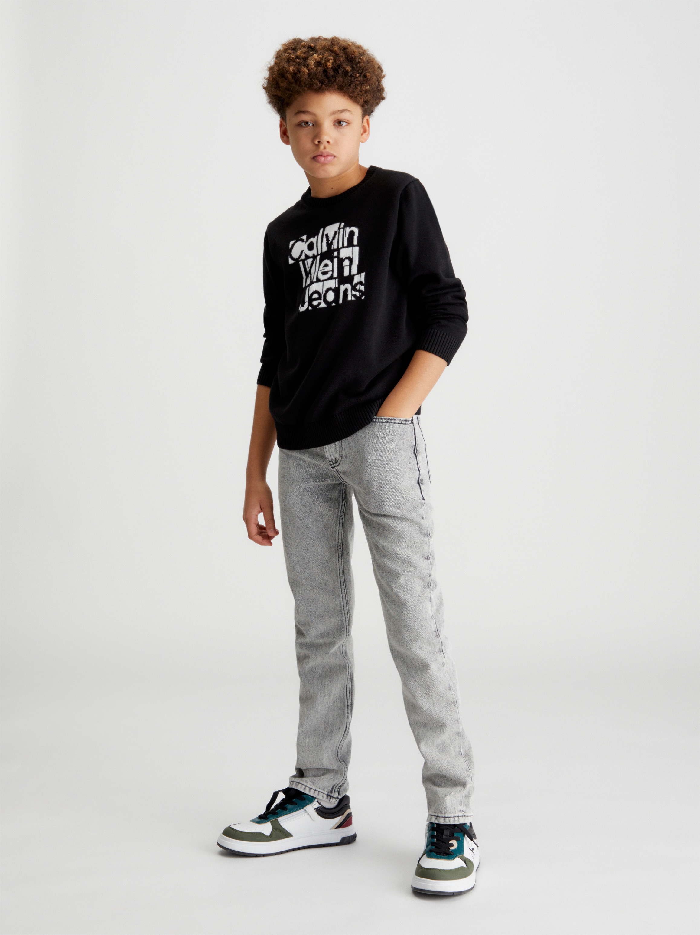 Calvin Klein Jeans Rundhalspullover bestellen »INST. mit 99 versandkostenfrei SWEATER«, GRID GRAPHIC ab Logostickerei CHF