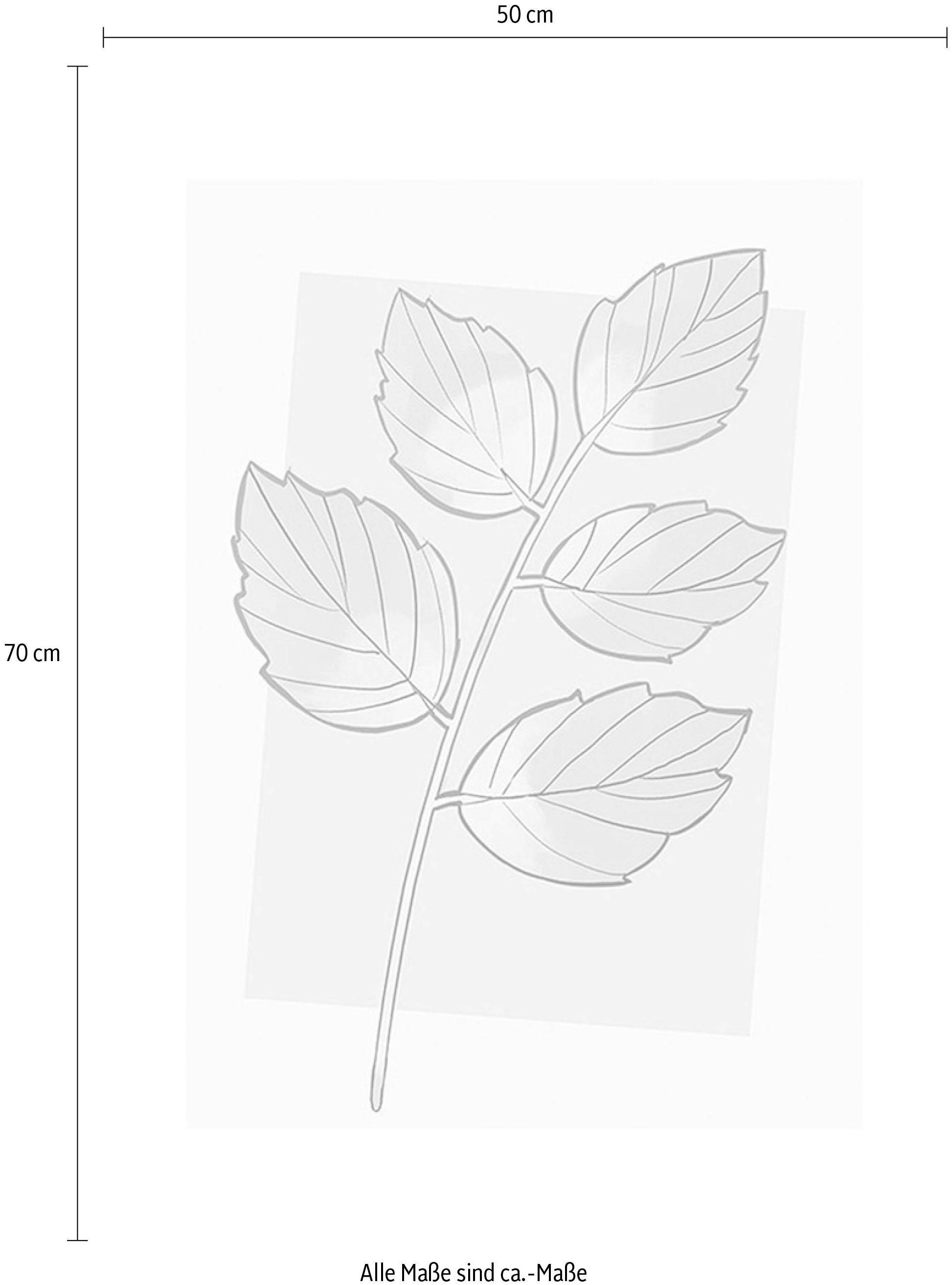 Komar Bild »Cinderella Plant«, Disney, (1 St.), Wandbild zur Dekoration im Kinderzimmer - ohne Rahmen