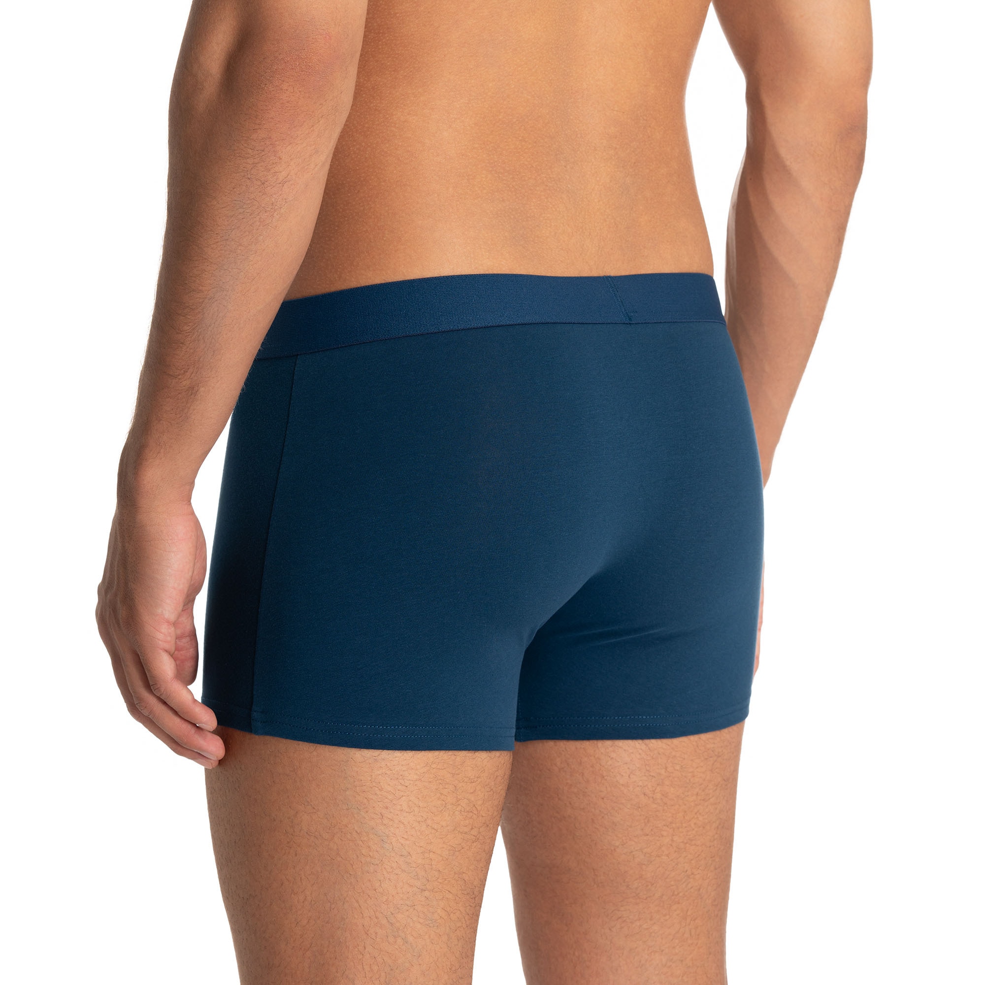 Bruno Banani Boxer »Flowing« mit kontrastreichem Logobund
