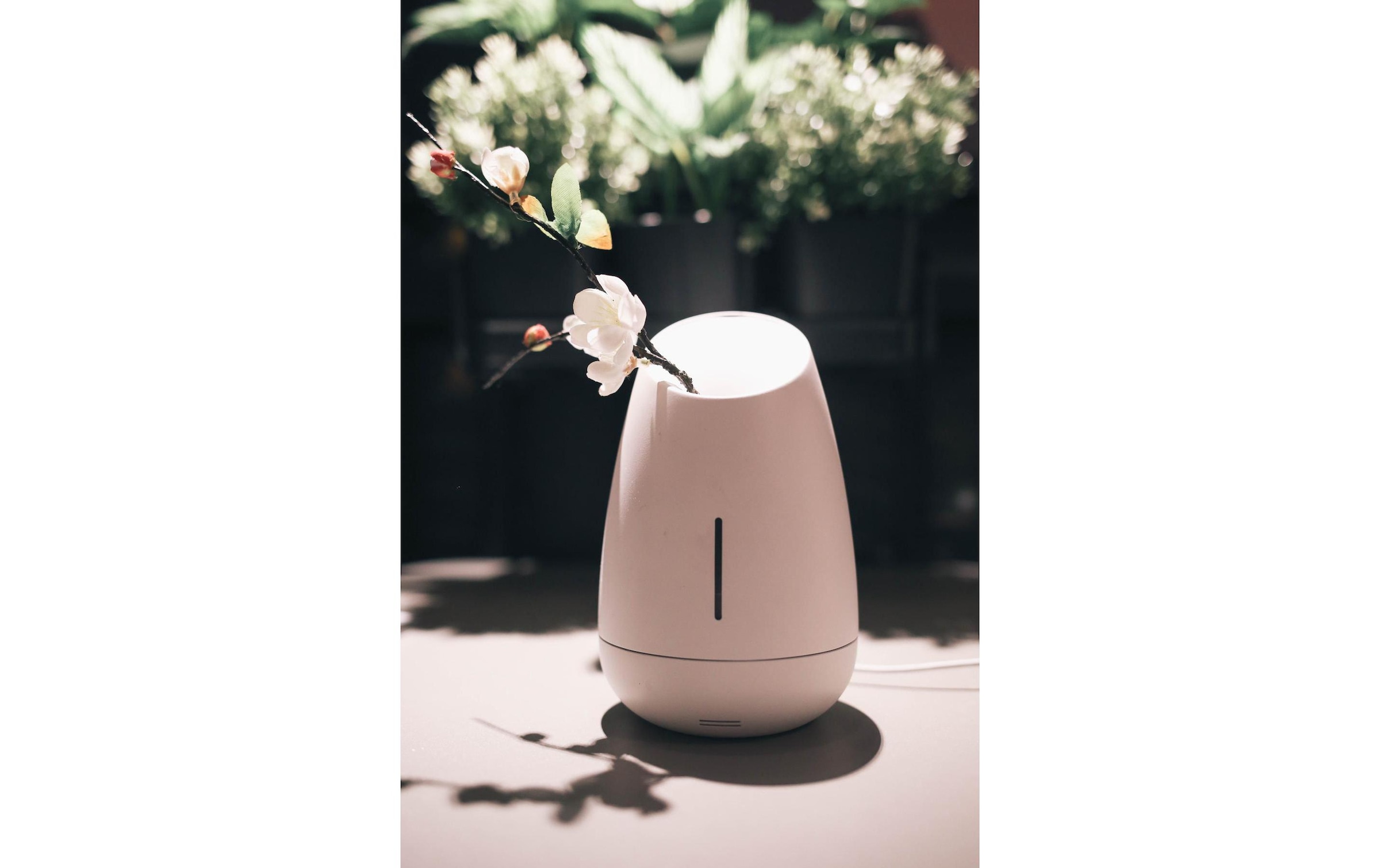 MiPow Diffuser »Aromavernebler«, 0,15 l Wassertank