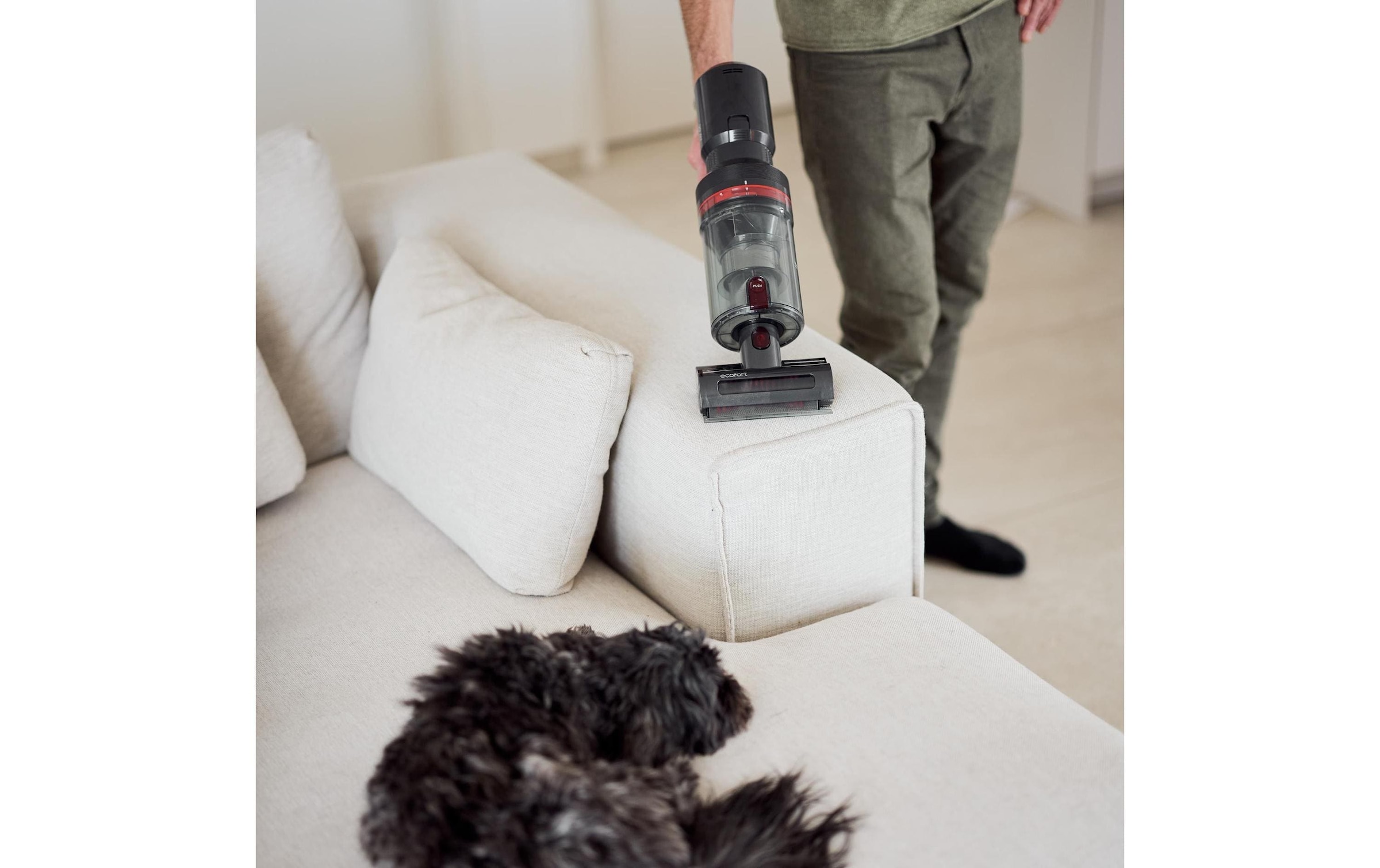   Akku-Hand-und Stielstaubsauger »Ecofort ecoQ CleanVac Pro Animal«
