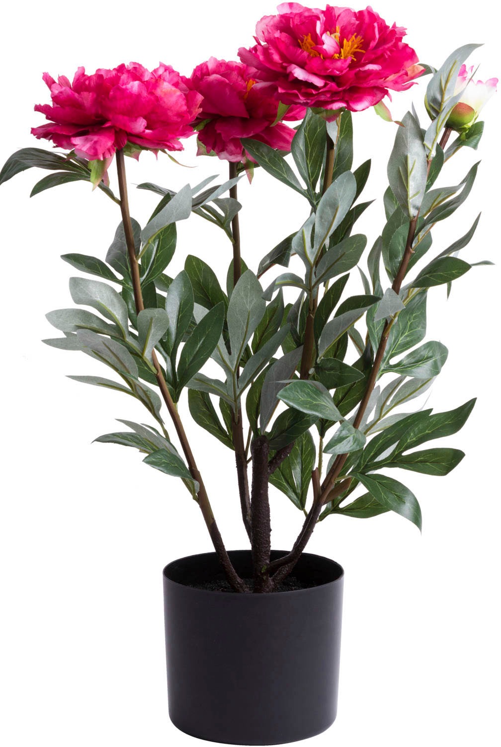 Image of Botanic-Haus Kunstblume »Pfingstrose Vivaldi«, (1 St.) bei Ackermann Versand Schweiz