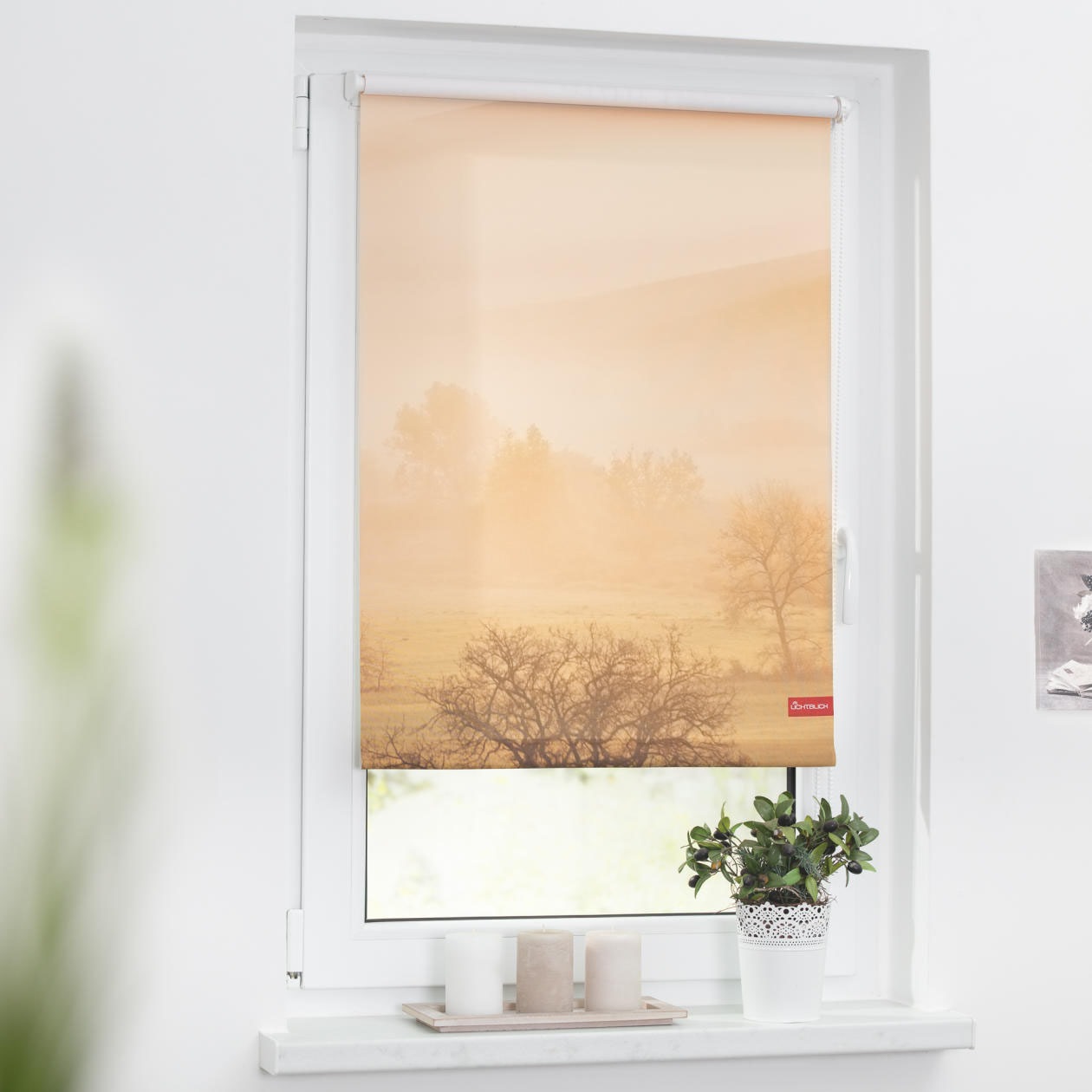 Image of LICHTBLICK ORIGINAL Seitenzugrollo »Rollo Klemmfix, ohne Bohren, Verdunkelung, Toskana - Orange Braun«, verdunkelnd, Verdunkelung-energiesparend, freihängend bei Ackermann Versand Schweiz