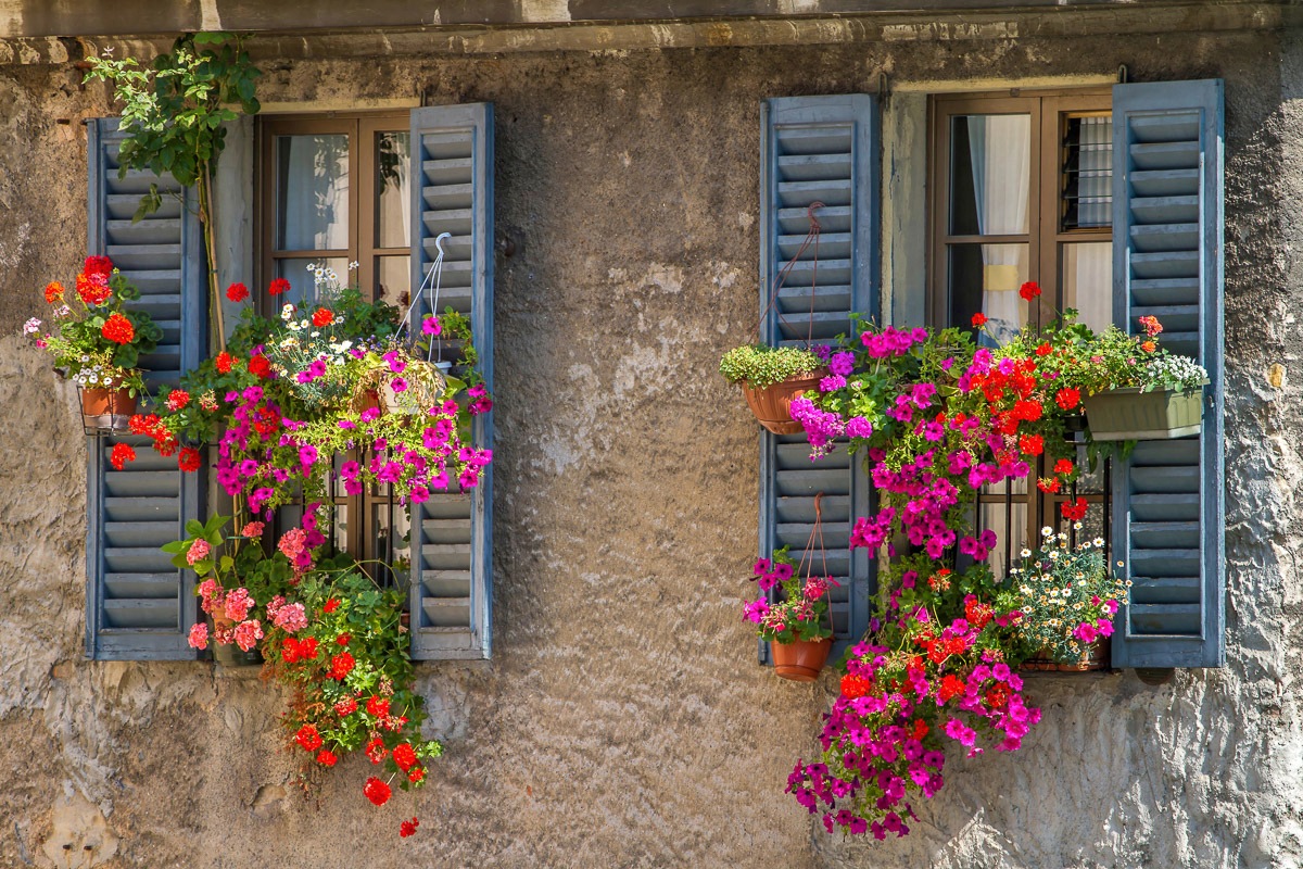 Image of Papermoon Fototapete »Alte Fenster«, Vliestapete, hochwertiger Digitaldruck, inklusive Kleister bei Ackermann Versand Schweiz