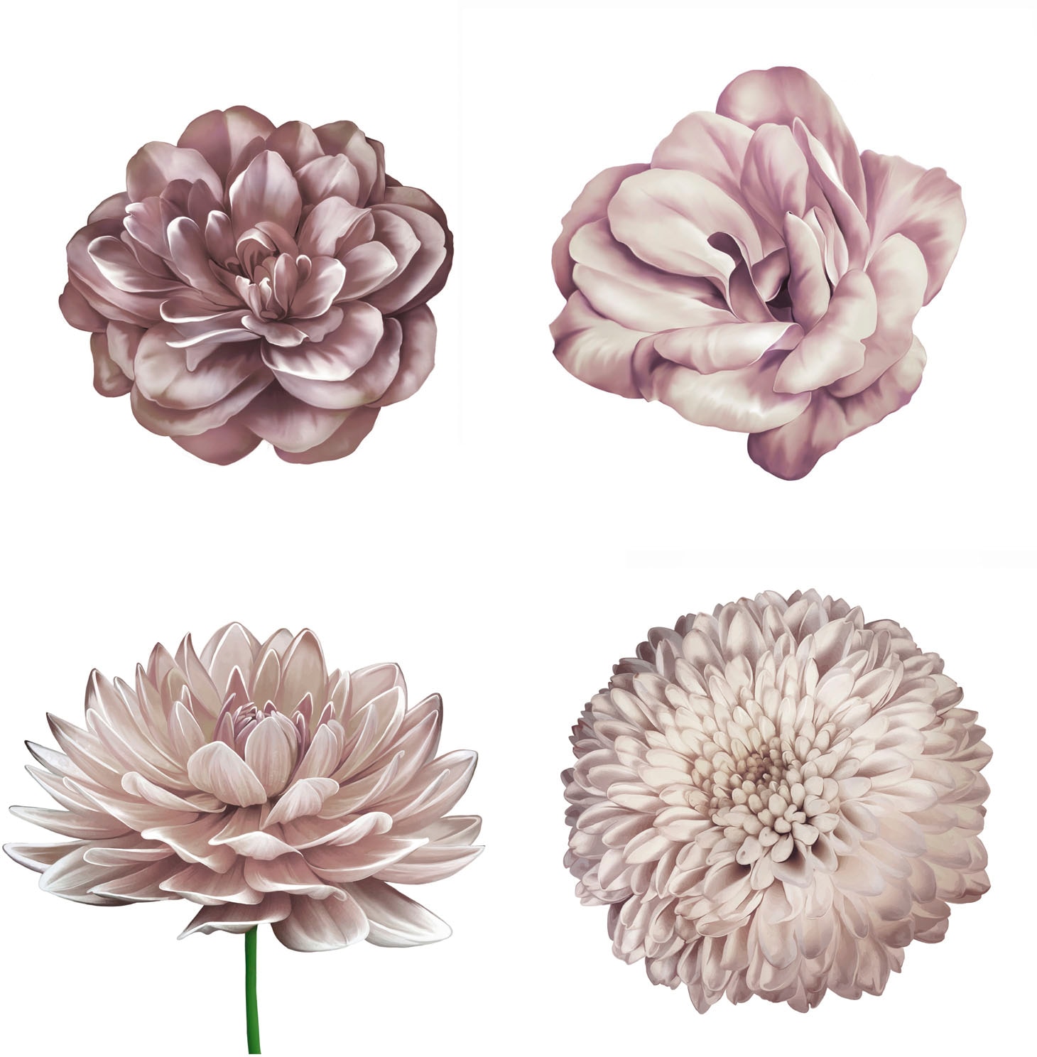 Image of queence Wandtattoo "Mila" Wandbild, Sticker, rosa, Blume, Blüte, selbstklebend