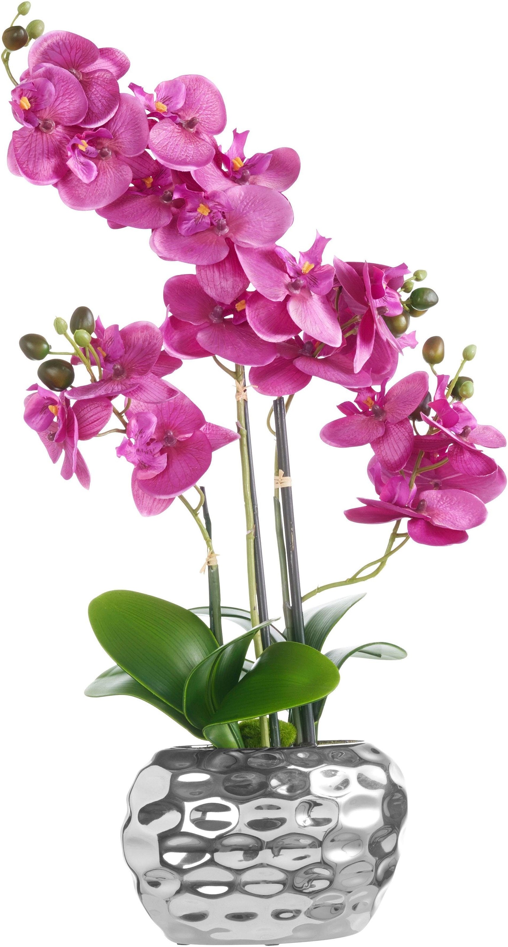 Creativ green Kunstpflanze »Orchidee«