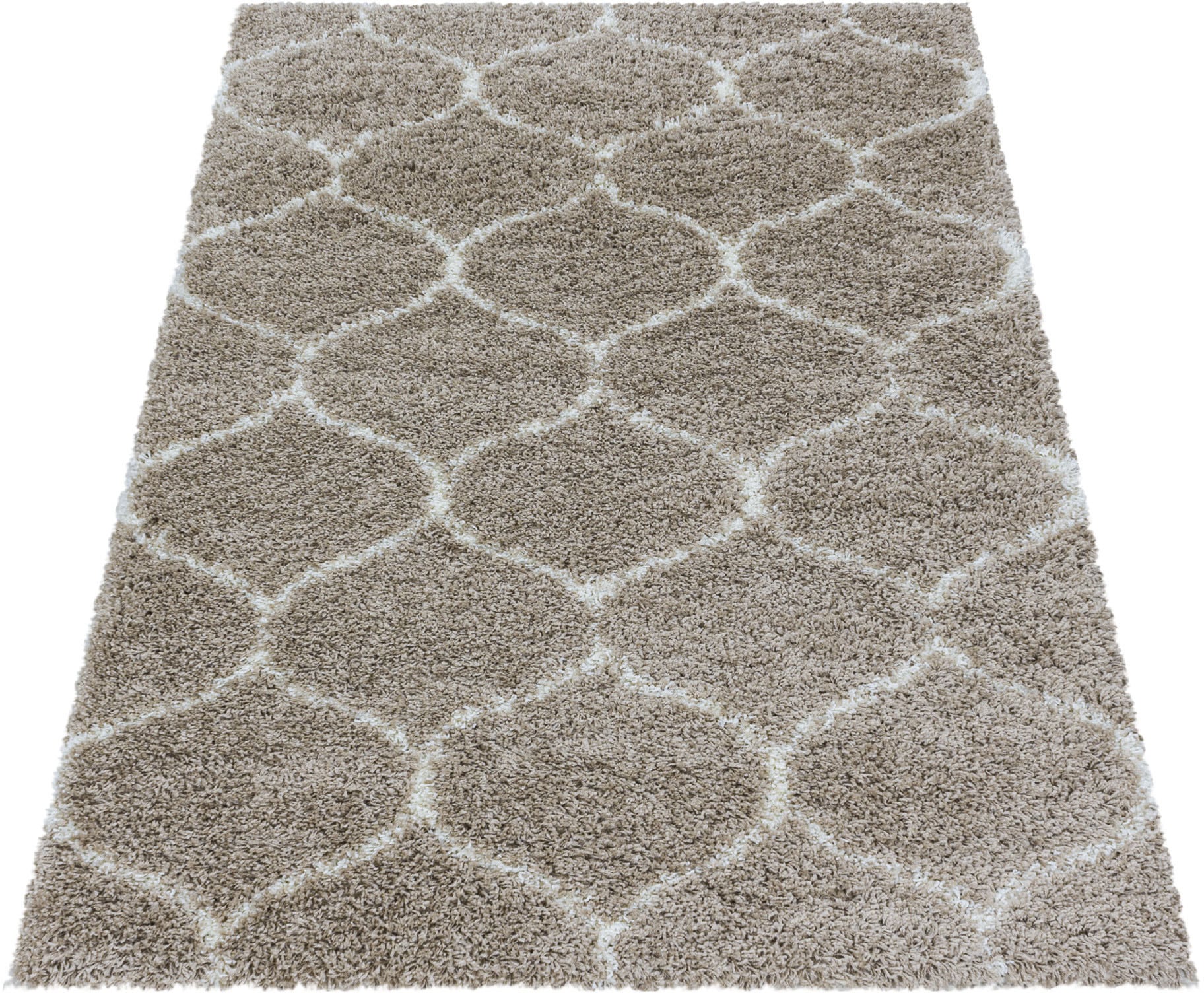 Ayyildiz Teppiche Hochflor-Teppich »SALSA 3201«, rechteckig, 50 mm Höhe, auch in rund, Pflegeleicht / Strapazierfähig / Shaggy/ Wohnzimmer