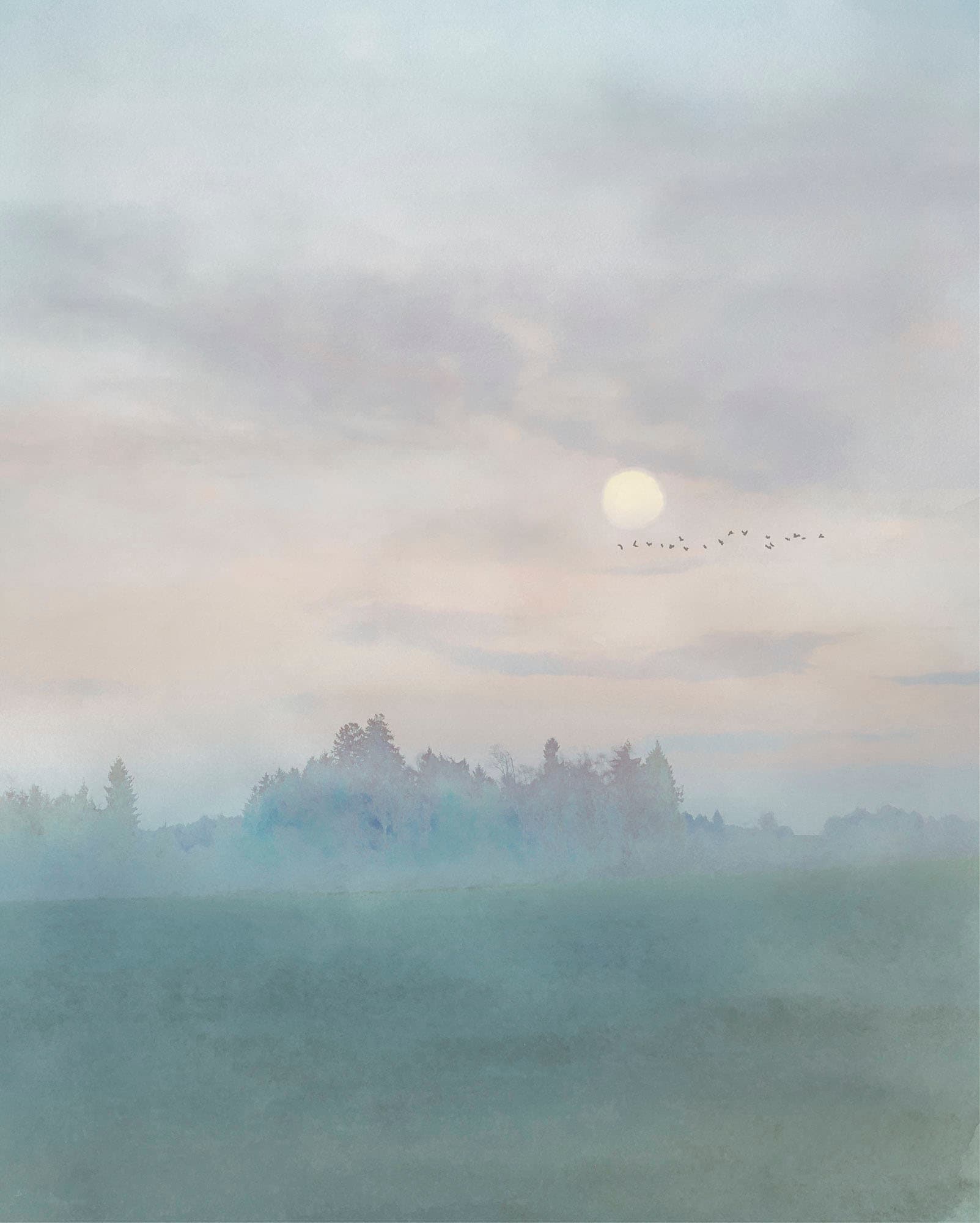 Image of Komar Vliestapete "Digitaldruck Vlies - Hazy Hush - Grösse 200 x 250 cm" bedruckt glatt Wohnzimmer, Schlafzimmer