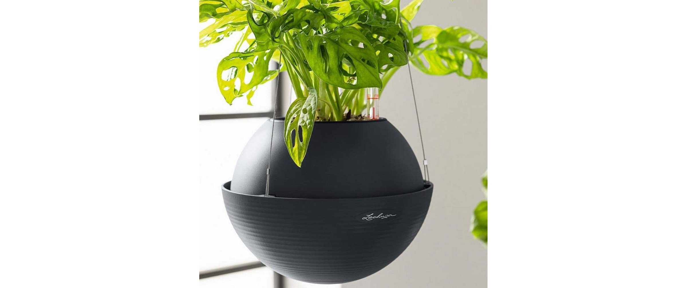   Pot de fleurs »Lechuza BOLA Color 32«