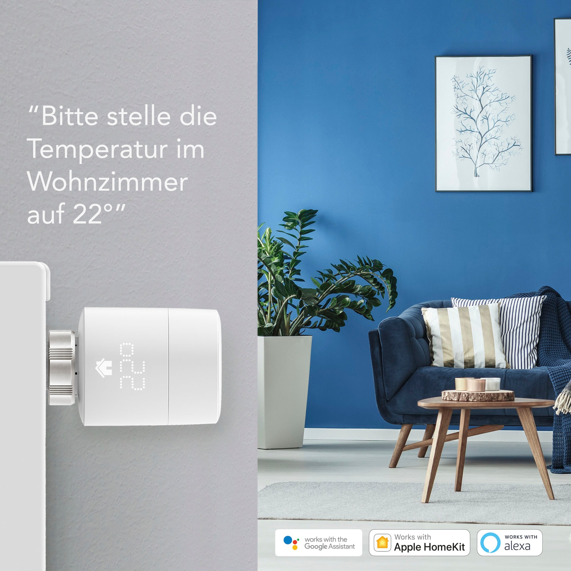 Tado Heizkörperthermostat »Starter Kit - Smartes Thermostat V3+ (Verkabelt) für Heizthermen«