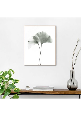 Kunstdruck »Ginkgo Blatt«