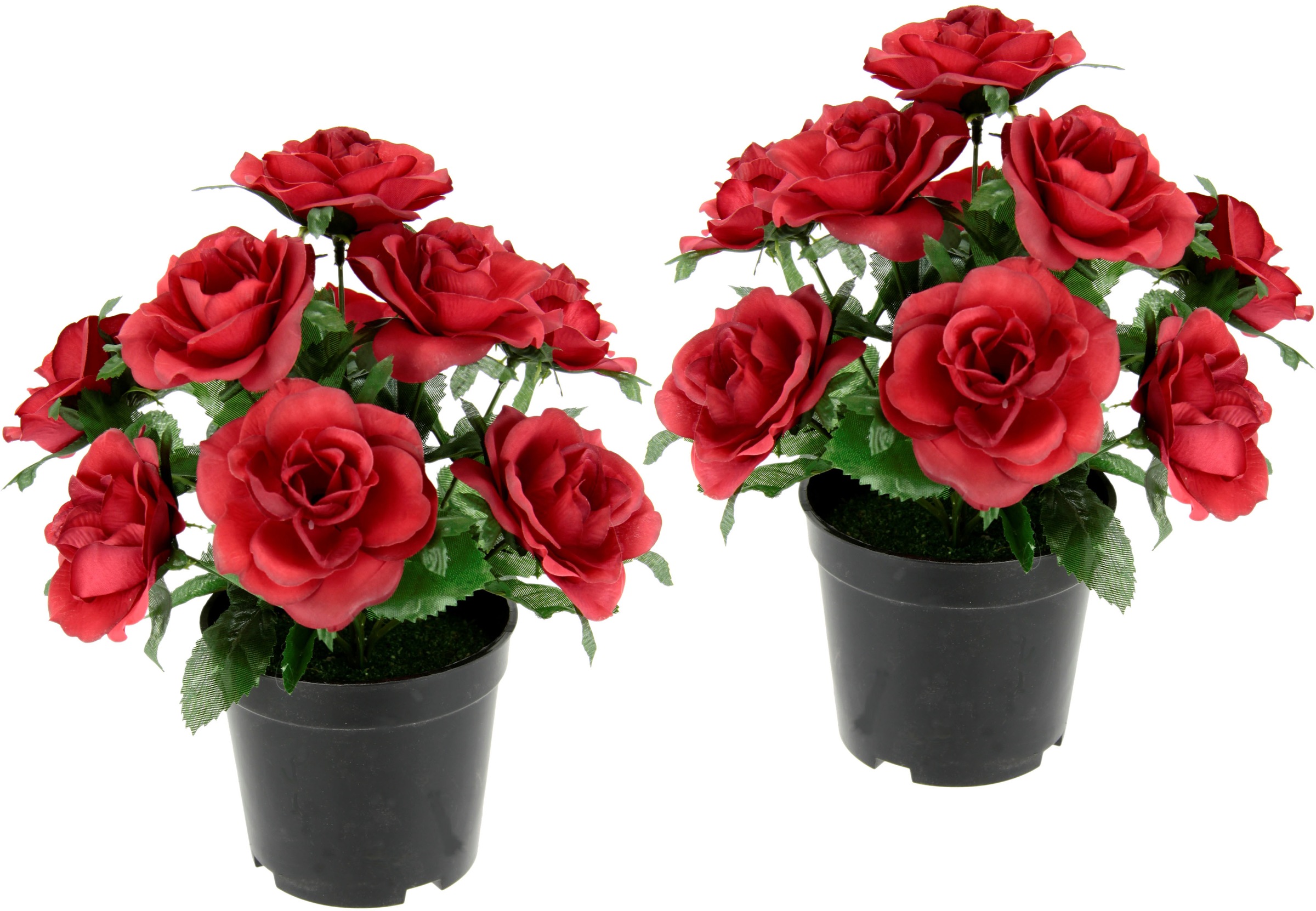 Image of I.GE.A. Kunstblume »Rosen im Topf«, 2er Set bei Ackermann Versand Schweiz