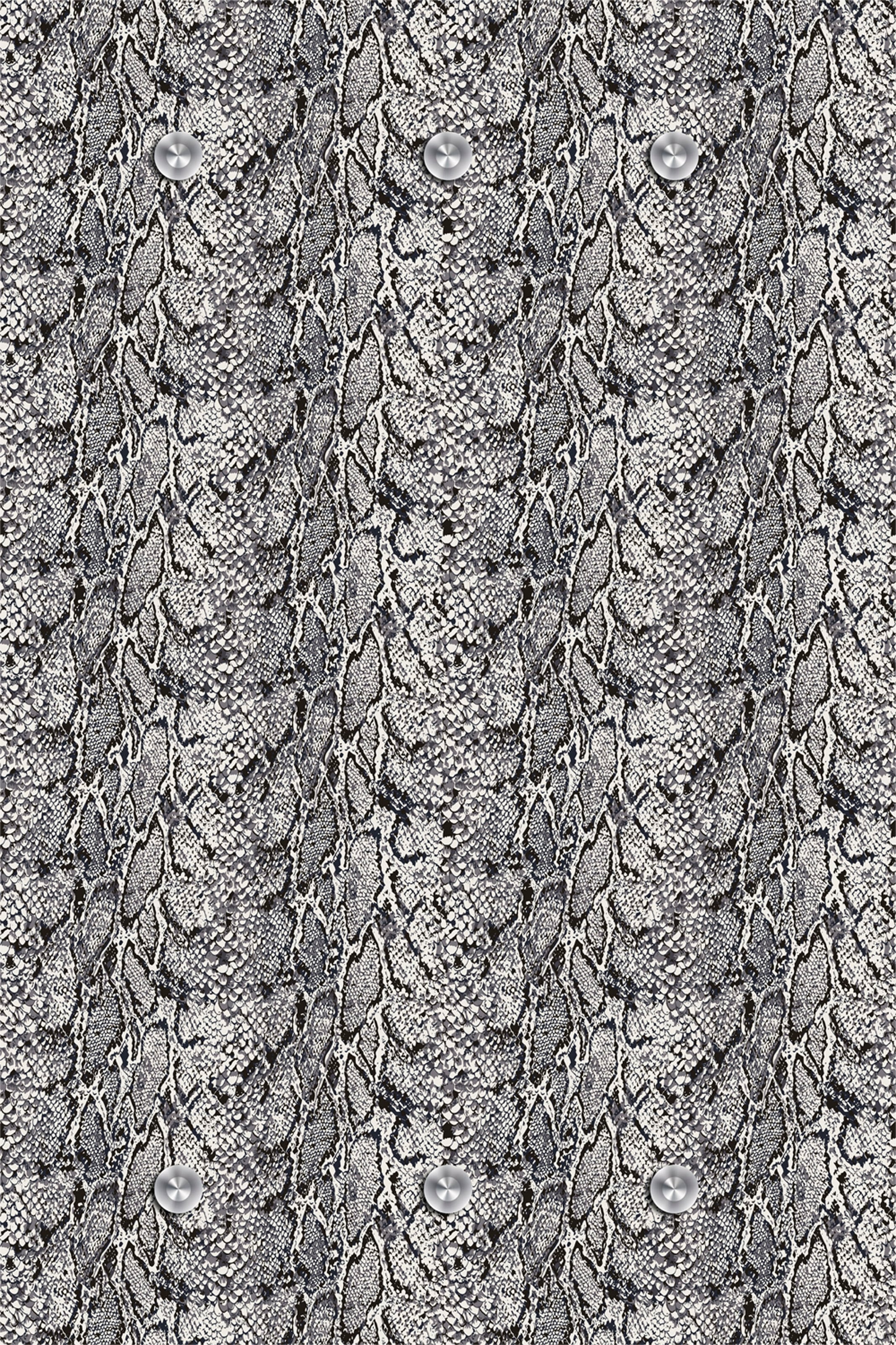 Image of queence Garderobenleiste "Krokodil" mit 6 Haken, 80 x 120 cm