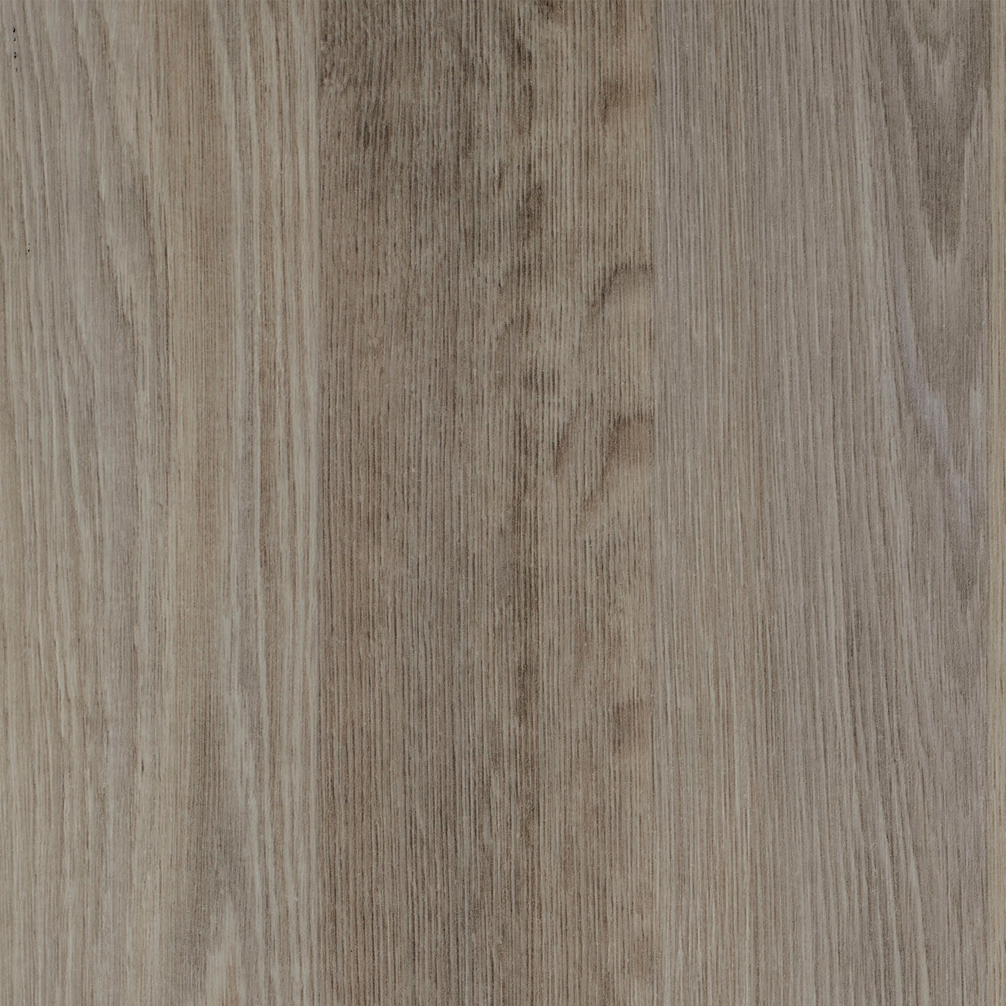 Image of Bodenmeister Vinylboden »PVC Bodenbelag Holzoptik Schiffsboden Eiche creme hell«, Meterware, Breite 200/400 cm bei Ackermann Versand Schweiz