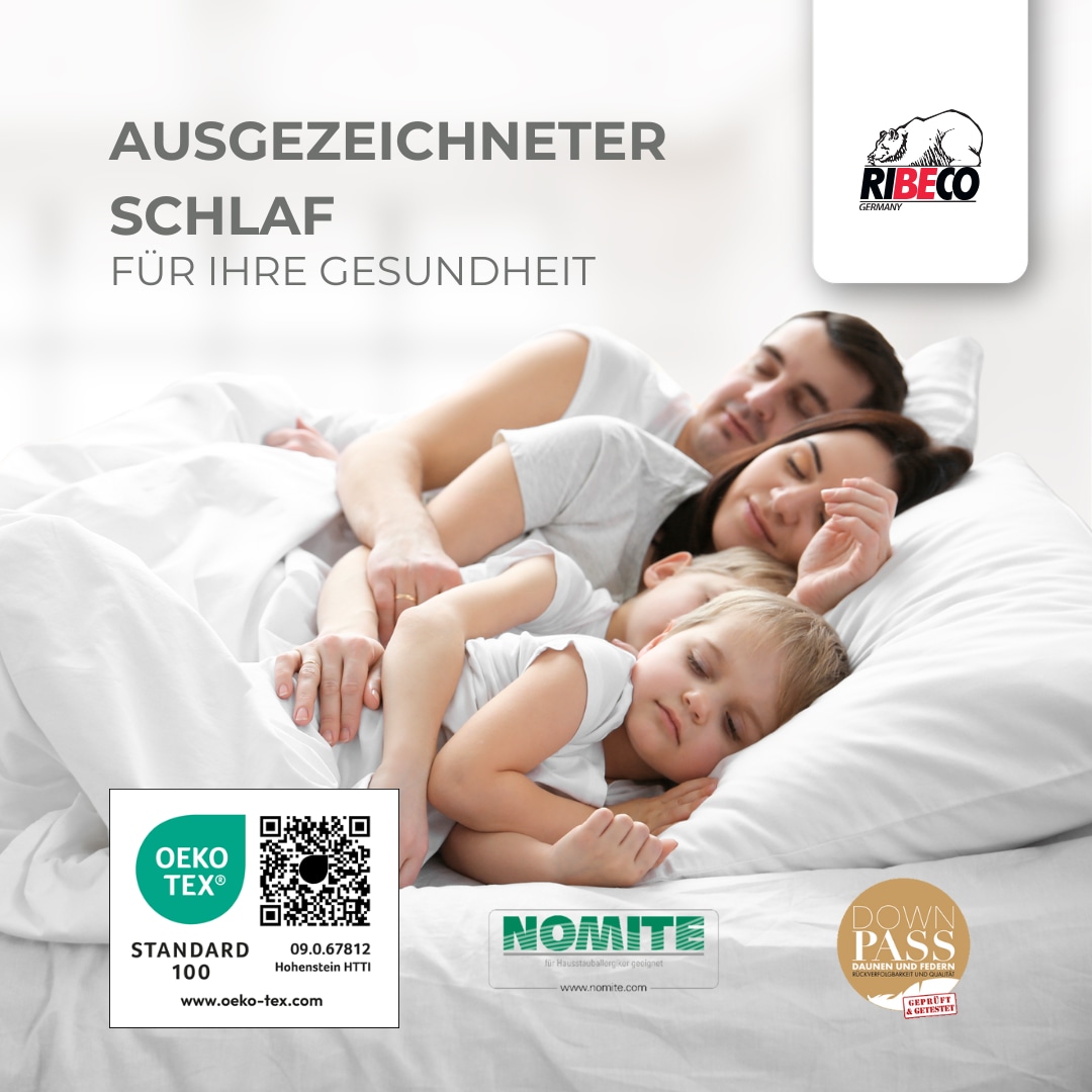 RIBECO Federbettdecke + Federkissen »Laram, 2-tlg. Naturprodukt zum TOP-Preis!«, (Spar-Set), Decke mit Kissen, verschiedene Grössen, Bettdecke 135x200, 155x220 cm