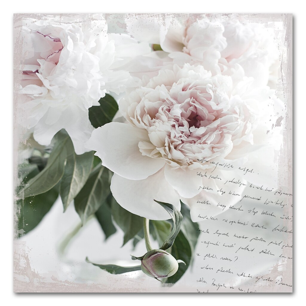 queence Acrylglasbild »Poesie&Rose«