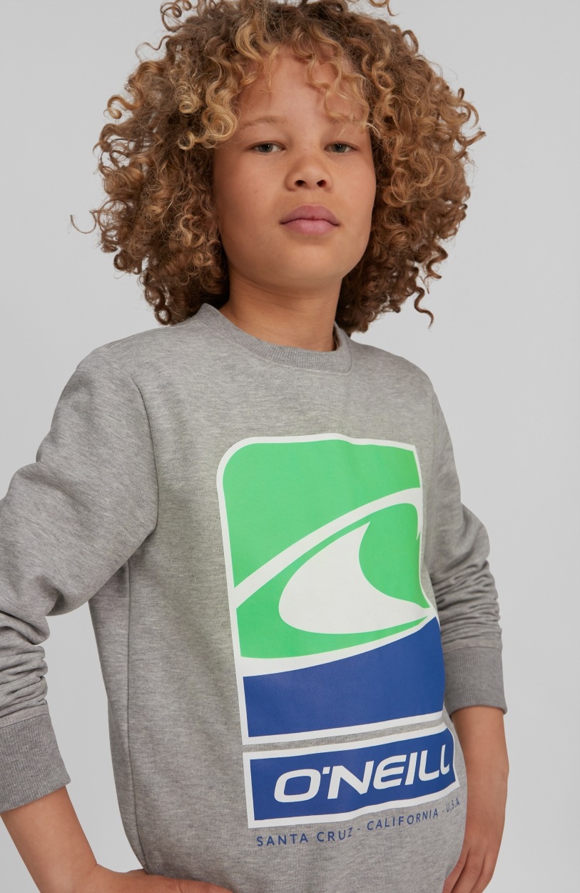 Image of O'Neill Sweatshirt »Flag Wave crew Sweatshirt« bei Ackermann Versand Schweiz
