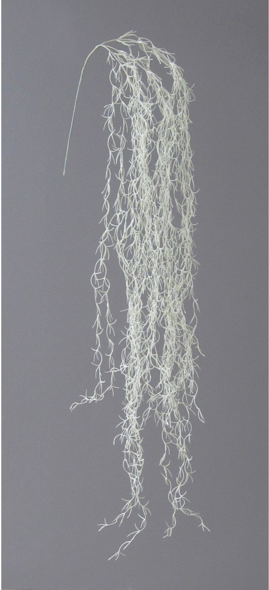 Creativ green Kunstranke »Tillandsienranke«