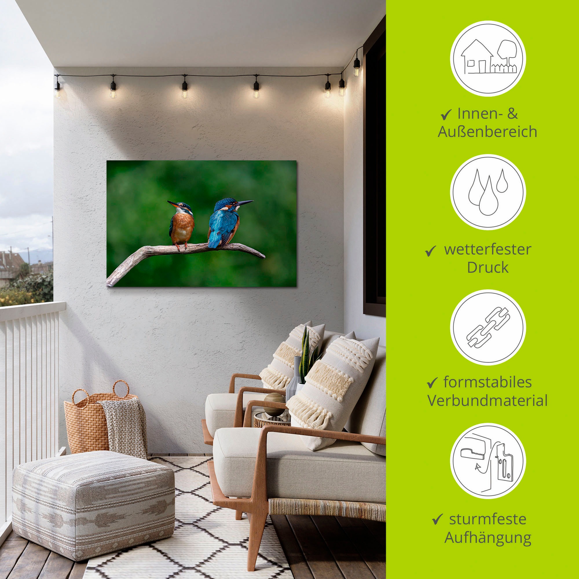 Artland Wandbild »Zwei Eisvogel«, Vogelbilder, (1 St.), als Alubild, Outdoorbild, Poster in verschied. Grössen