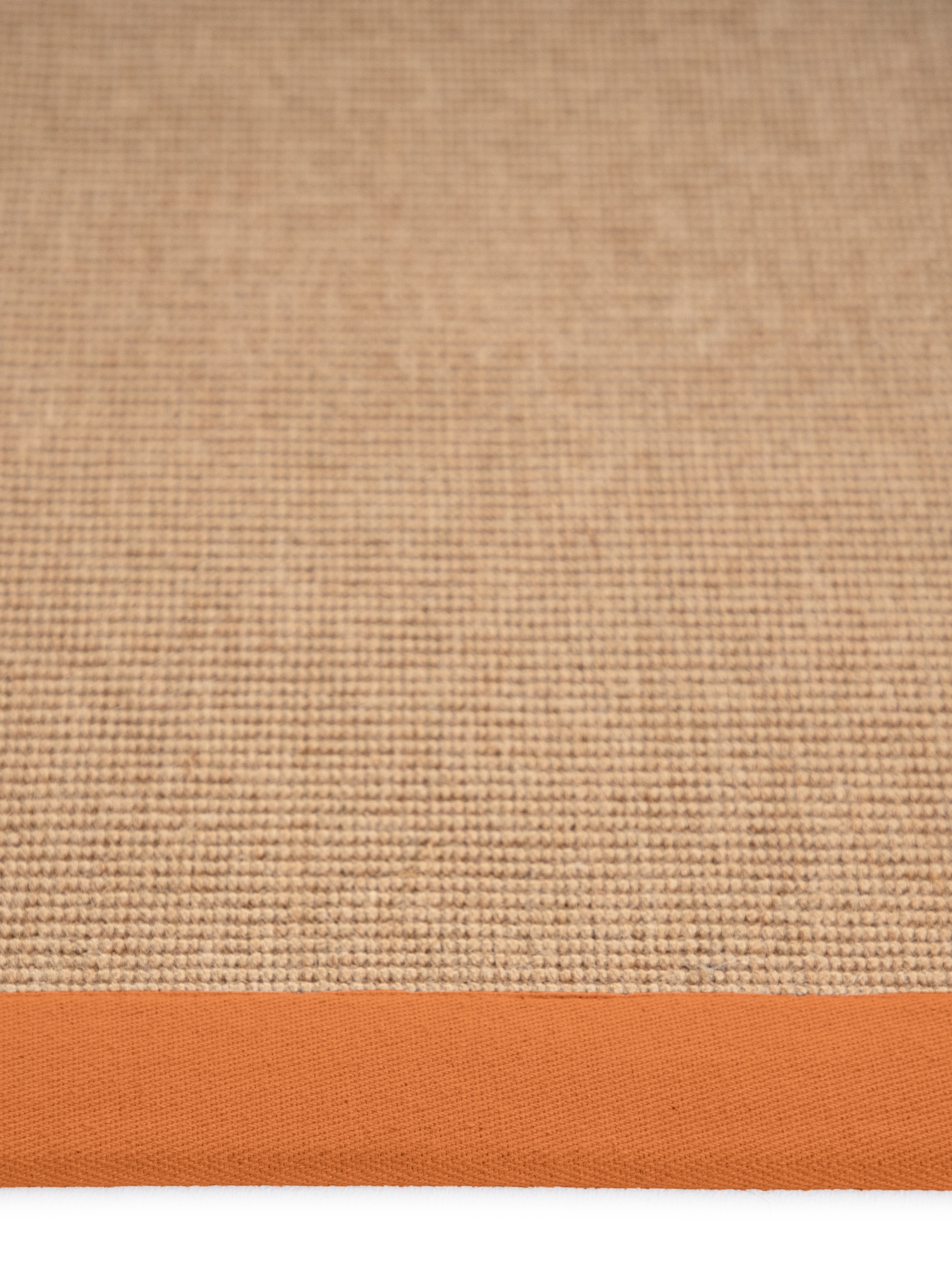 carpetfine Sisalteppich »Sisal«, rechteckig, 5 mm Höhe, mit farbiger Bordüre, Anti Rutsch Rückseite