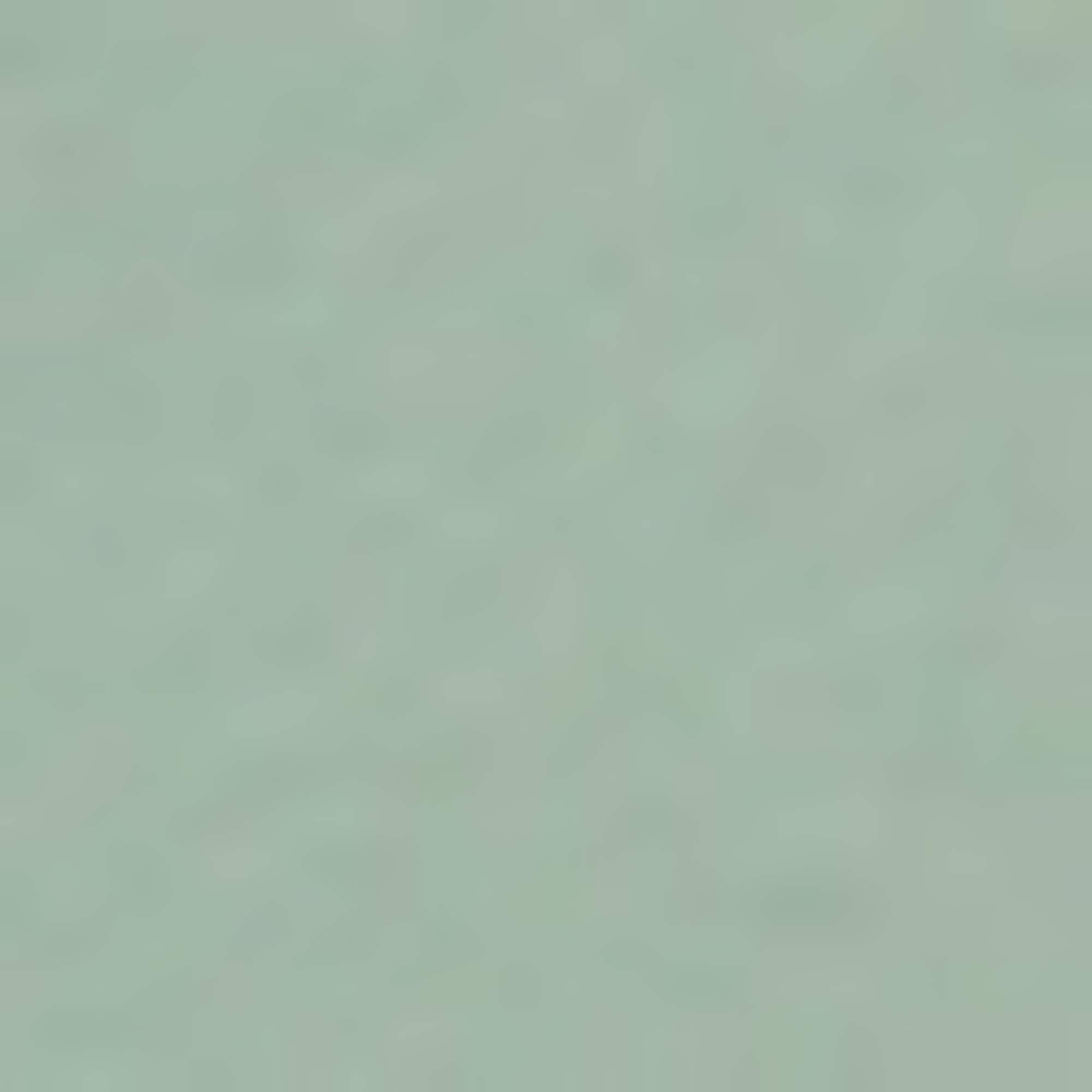 BOSS GREEN Stehkragenshirt »Porsche Spirit 70 Capsule Collection« Premium Herrenmode Limited