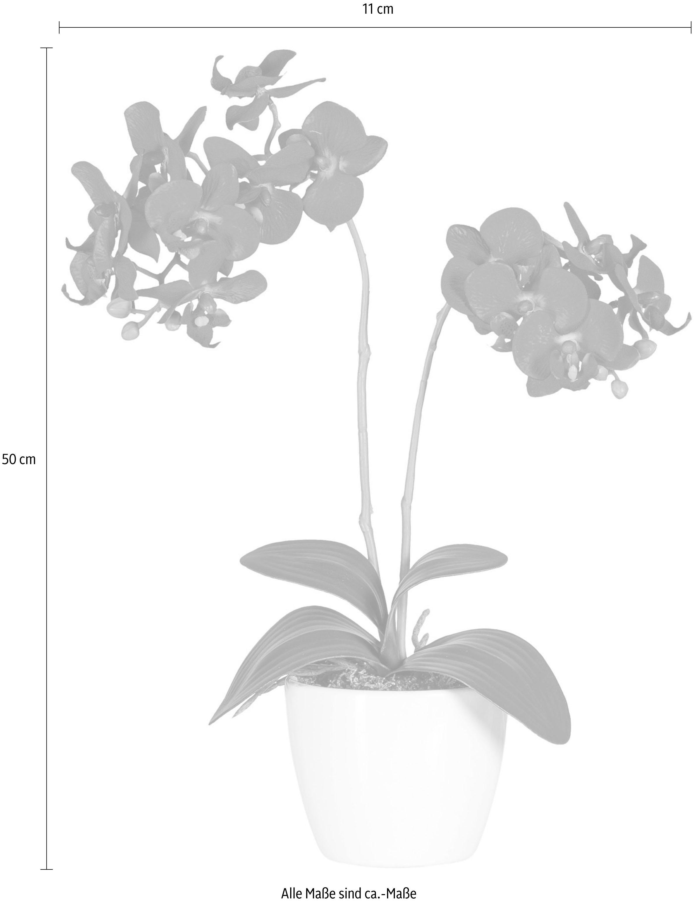 Creativ green Kunstpflanze »Phalaenopsis«