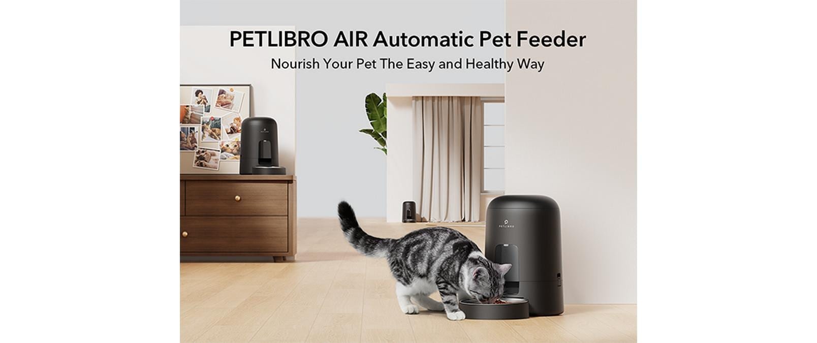 Futterautomat »Petlibro AIR Automatic Pet Feeder 2 l«