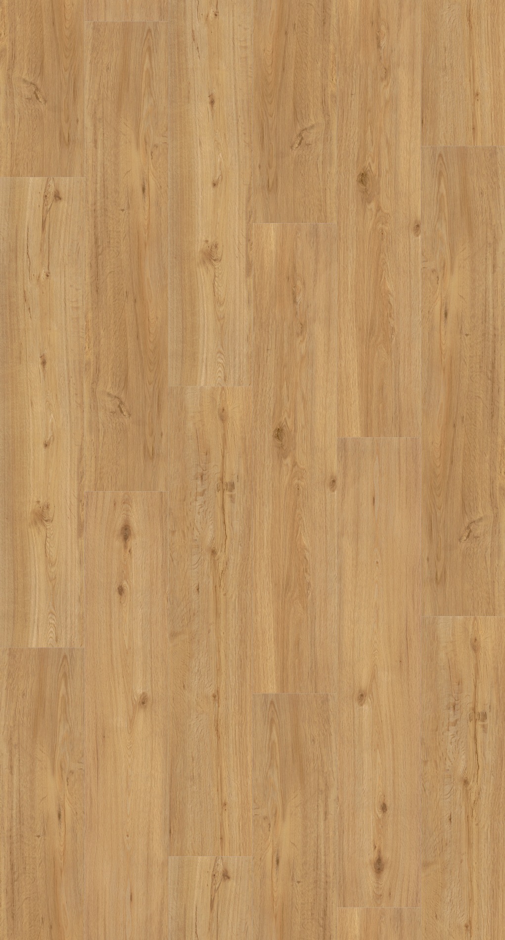 Image of PARADOR Vinylboden »Basic 30 - Eiche Natur«, 121,9 x 21,6 x 0,84 cm, 1,8 m² bei Ackermann Versand Schweiz
