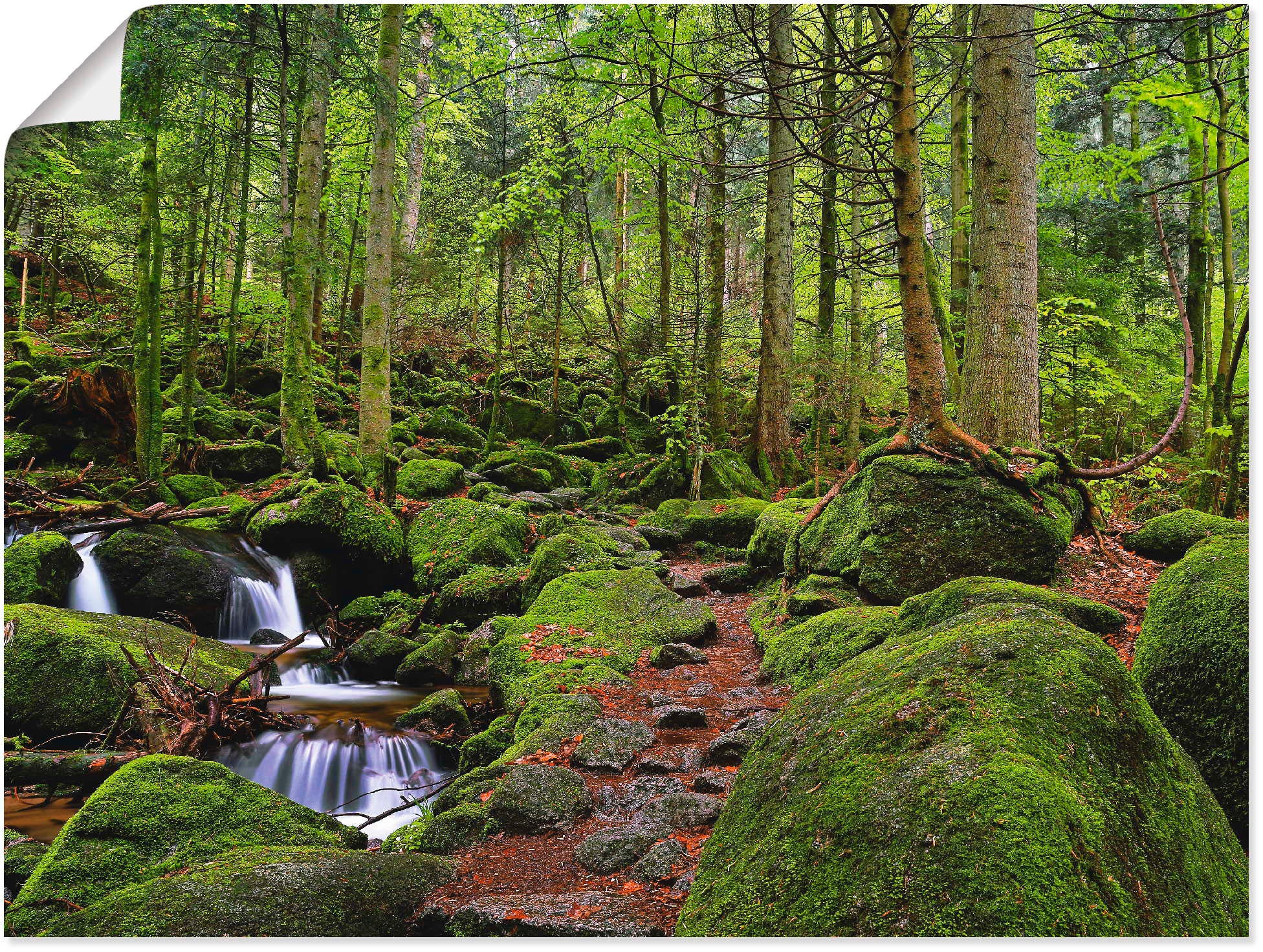 Image of Artland Poster "Zauberwald" Wald 1 Stk. tlg. ohne Rahmen