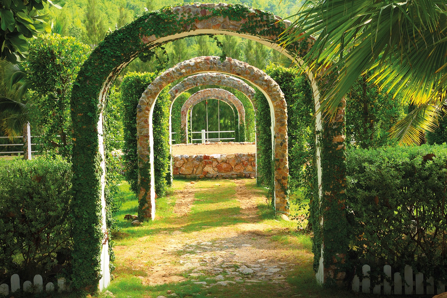 Image of Papermoon Fototapete »Pergola Garden« bei Ackermann Versand Schweiz