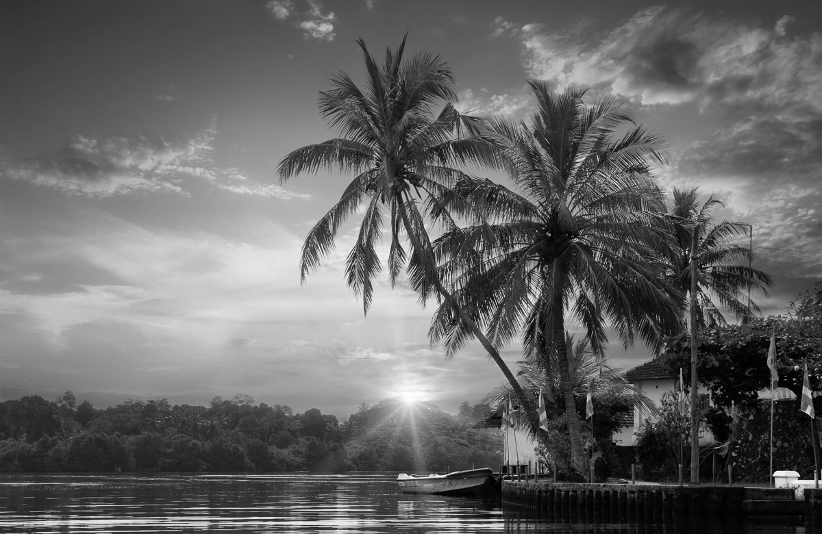 Image of Papermoon Fototapete »PALMEN-STRAND-BEACH DSCHUNGEL MEER SEE KARIBIK SÜDSEE«, Vliestapete, hochwertiger Digitaldruck, inklusive Kleister bei Ackermann Versand Schweiz