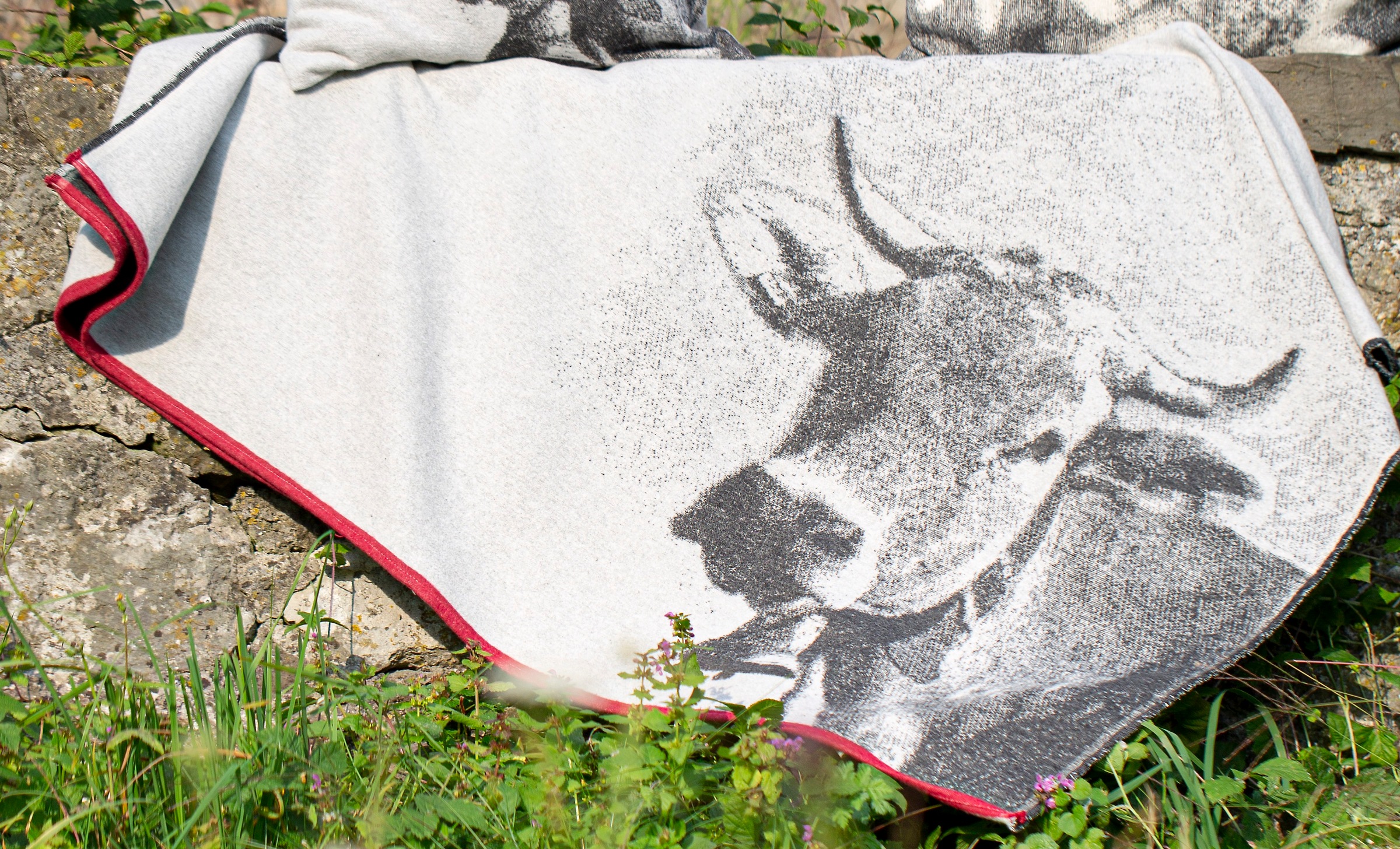 Image of DAVID FUSSENEGGER Wohndecke, mit Kuh Motiv bei Ackermann Versand Schweiz