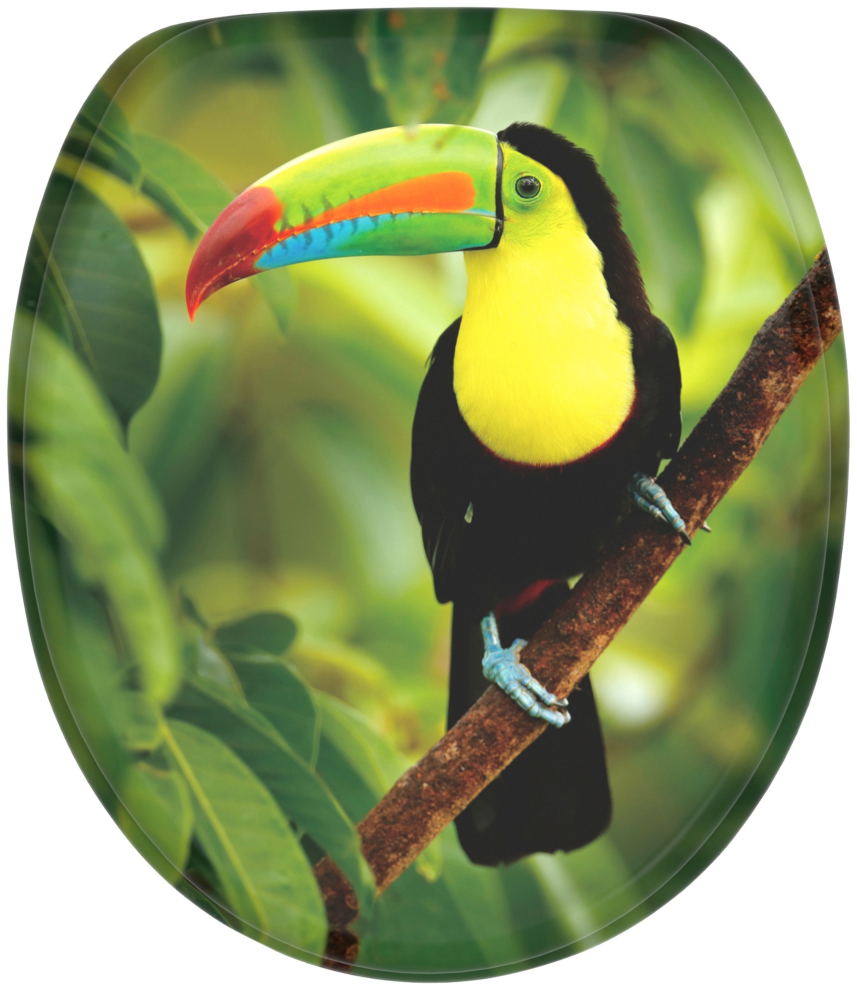 Image of Sanilo WC-Sitz "Toucan" mit Absenkautomatik, BxL: 37,7 x 42,0 - 47,0 cm