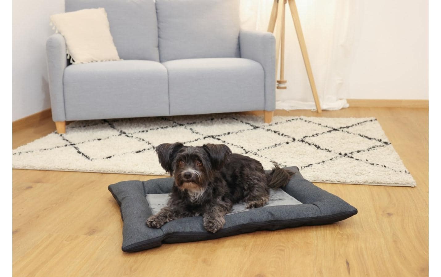Kerbl Hundematte »Hunde-Liegematte Platin Ortho«